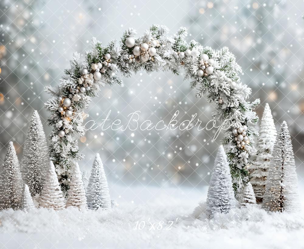 Kate Hiver Arche Neige Noël Bokeh Toile de fond conçue par Emetselch - Kate Backdrop FR