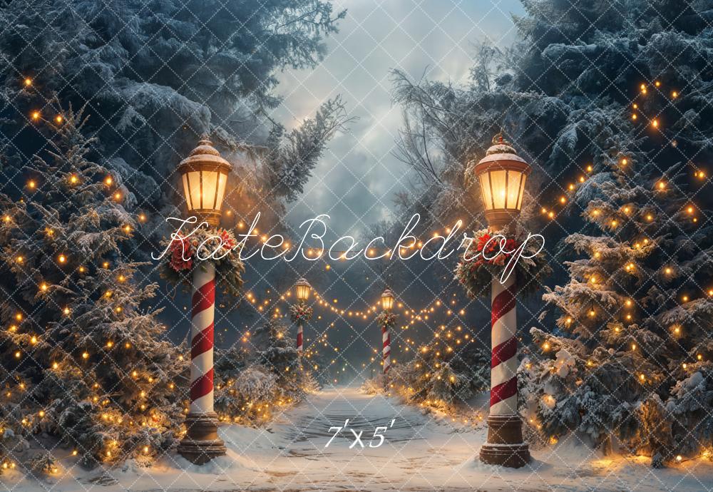 Kate Noël Hiver Forêt Lumières Nuit Toile de fond conçue par Emetselch - Kate Backdrop FR