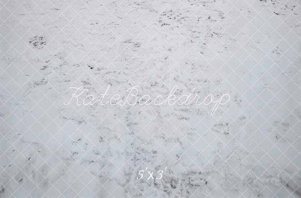 Kate Hiver Neige Blanc Sol Toile de fond conçue par Emetselch - Kate Backdrop FR