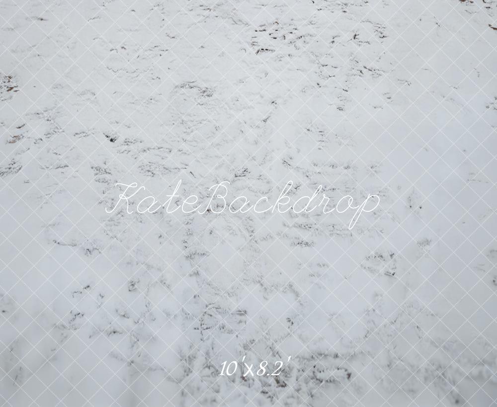 Kate Hiver Neige Blanc Sol Toile de fond conçue par Emetselch - Kate Backdrop FR
