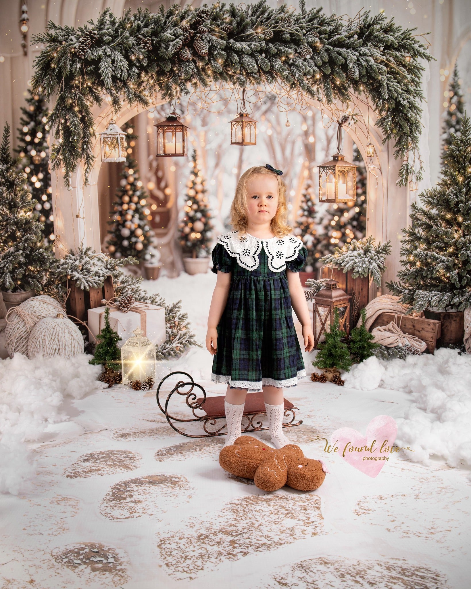 Kate Noël Arche Neige Arbres Lumière Toile de fond conçue par Emetselch - Kate Backdrop FR