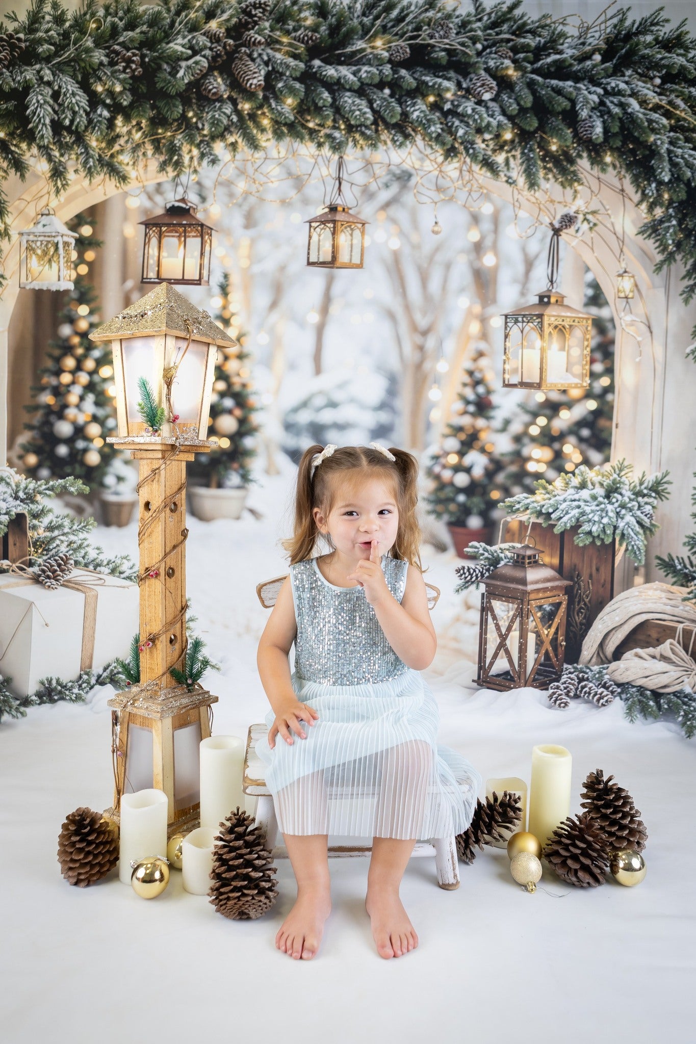 Kate Noël Arche Neige Arbres Lumière Toile de fond conçue par Emetselch
