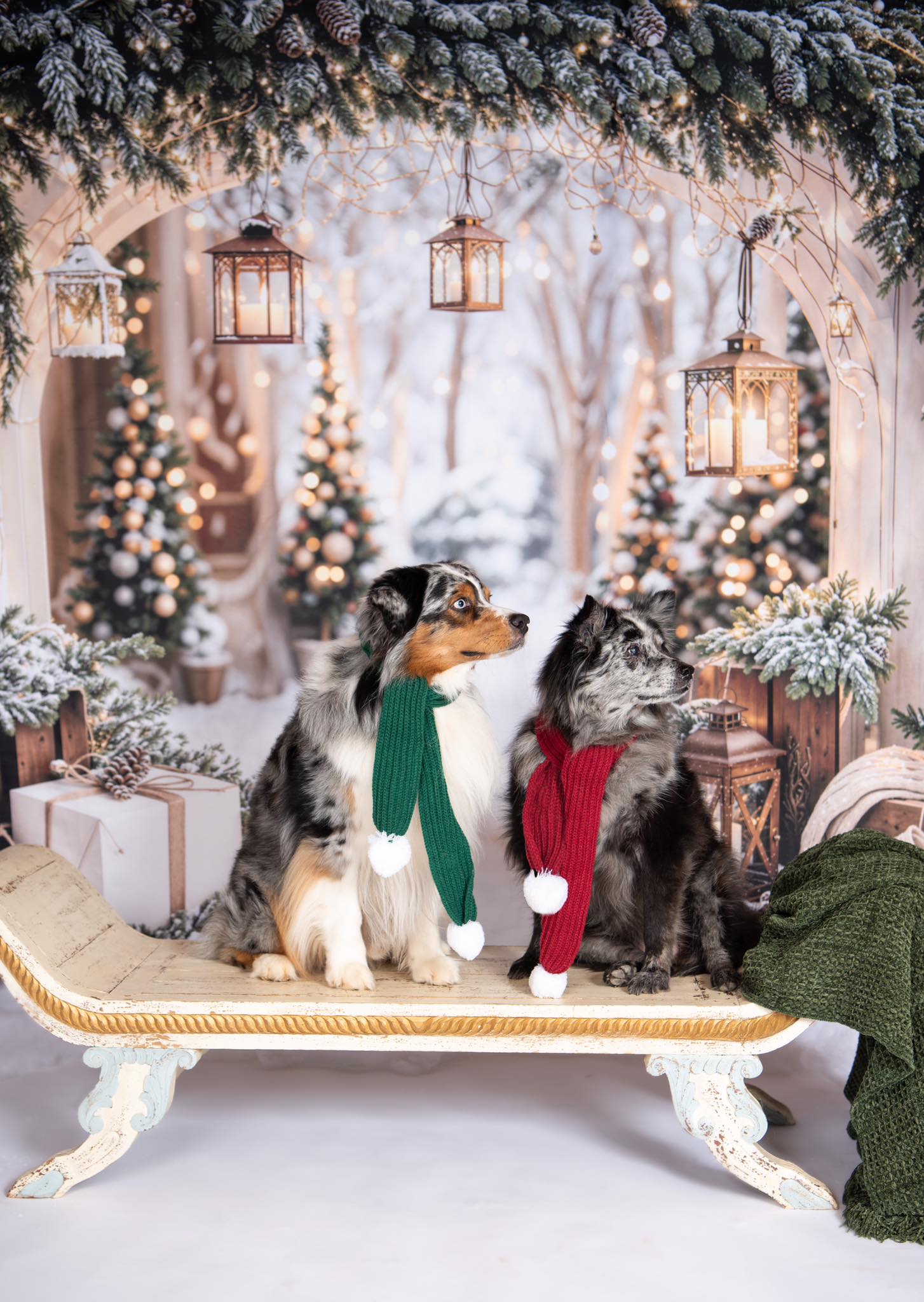 Kate Noël Arche Neige Arbres Lumière Toile de fond conçue par Emetselch - Kate Backdrop FR