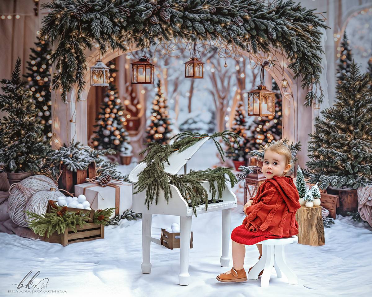 Kate Noël Arche Neige Arbres Lumière Toile de fond conçue par Emetselch - Kate Backdrop FR