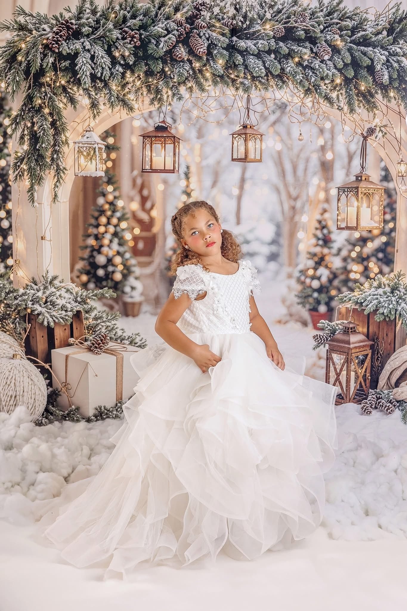 Kate Noël Arche Neige Arbres Lumière Toile de fond conçue par Emetselch - Kate Backdrop FR