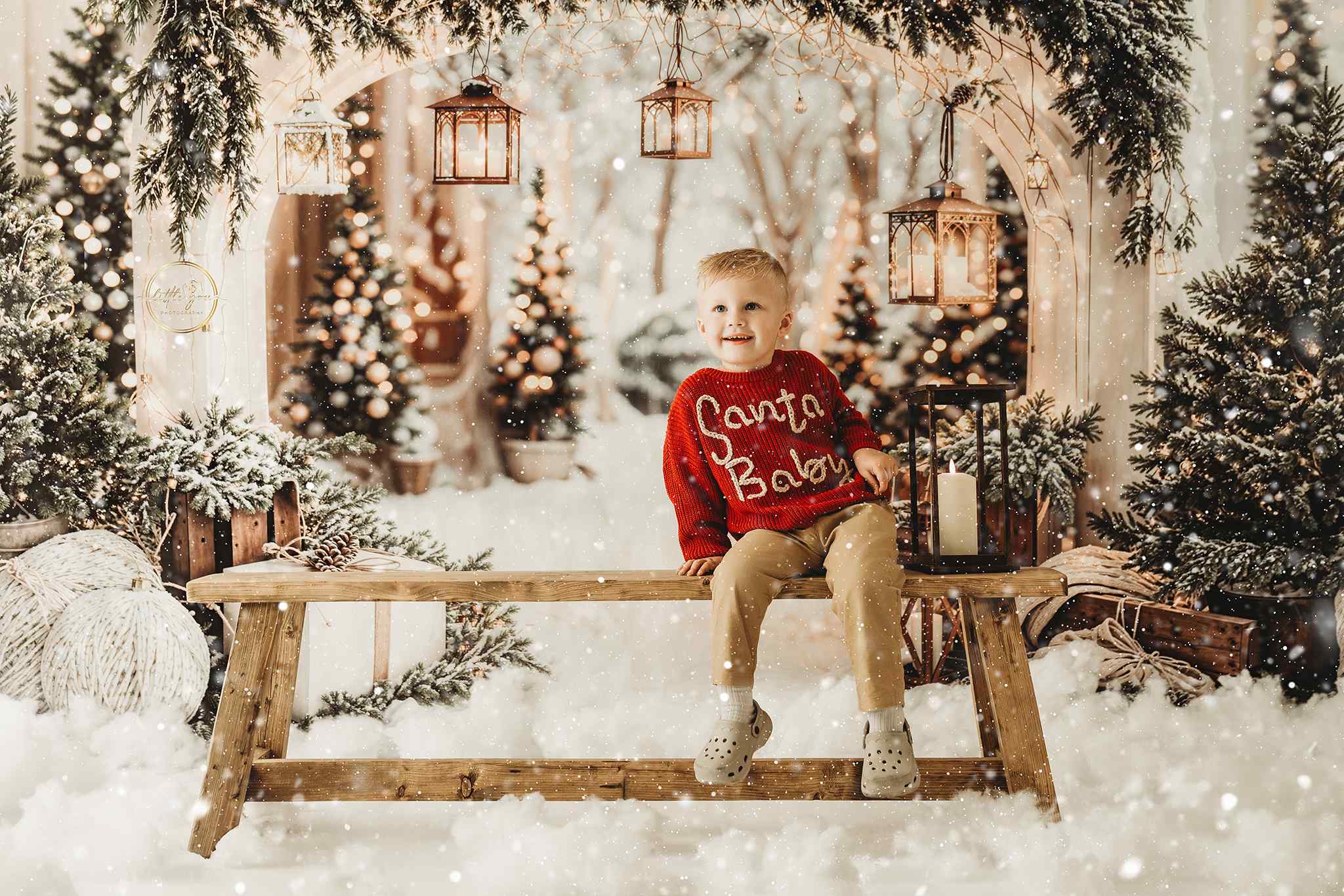 Kate Noël Arche Neige Arbres Lumière Toile de fond conçue par Emetselch - Kate Backdrop FR