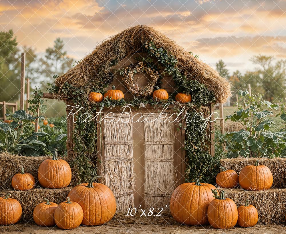 Kate Automne Citrouille Ferme Porte Rustique Toile de fond conçue par Emetselch - Kate Backdrop FR