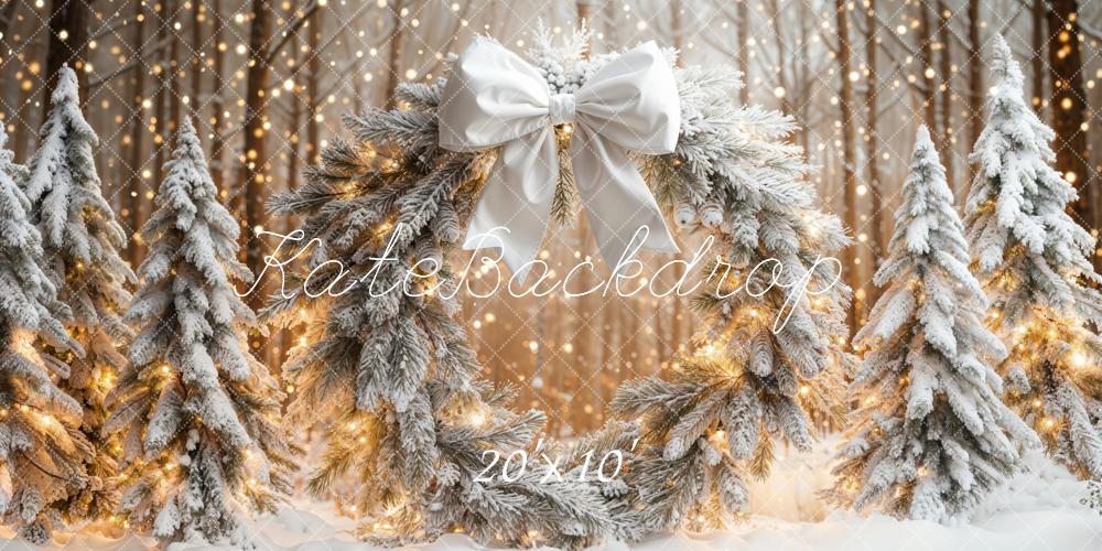 Kate Noël Neige Forêt Lumières Toile de fond conçue par Emetselch - Kate Backdrop FR