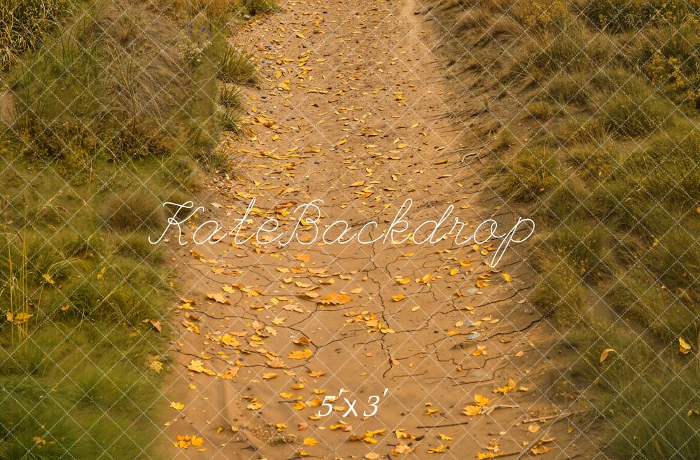 Kate Automne Allée Feuilles Herbe Sol Toile de fond conçue par Kate Image - Kate Backdrop FR