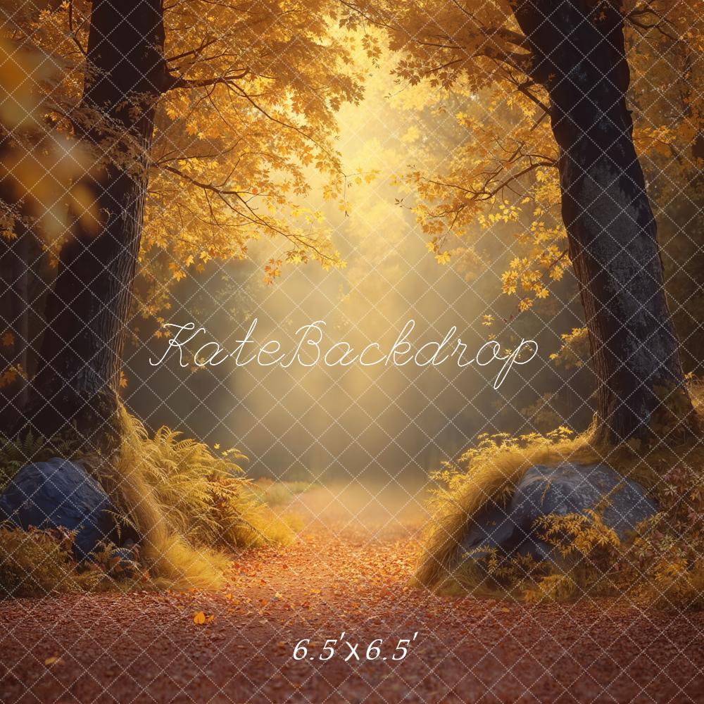 Kate Automne Forêt Lumière Érable Toile de fond conçue par Emetselch - Kate Backdrop FR