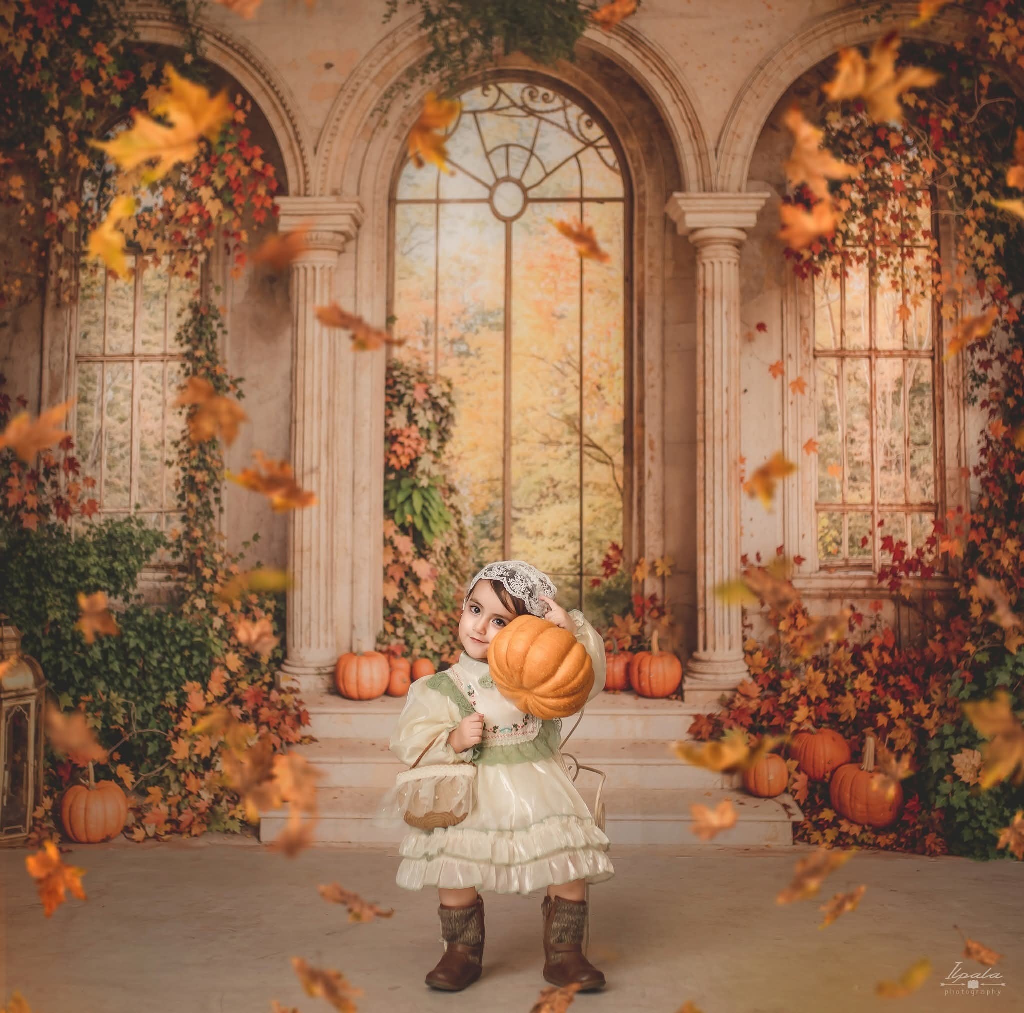 Kate Automne Arche Rétro Citrouilles Feuillage Toile de fond conçue par Emetselch - Kate Backdrop FR