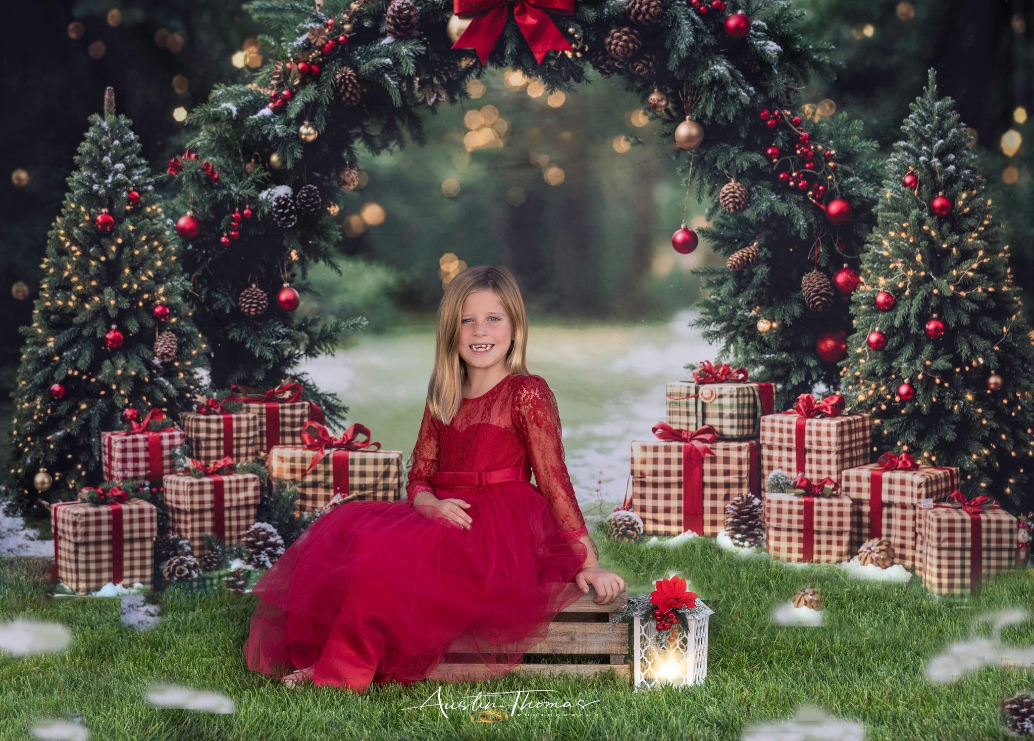 Kate Noël Arche Sapins Cadeaux Toile de fond conçue par Emetselch - Kate Backdrop FR