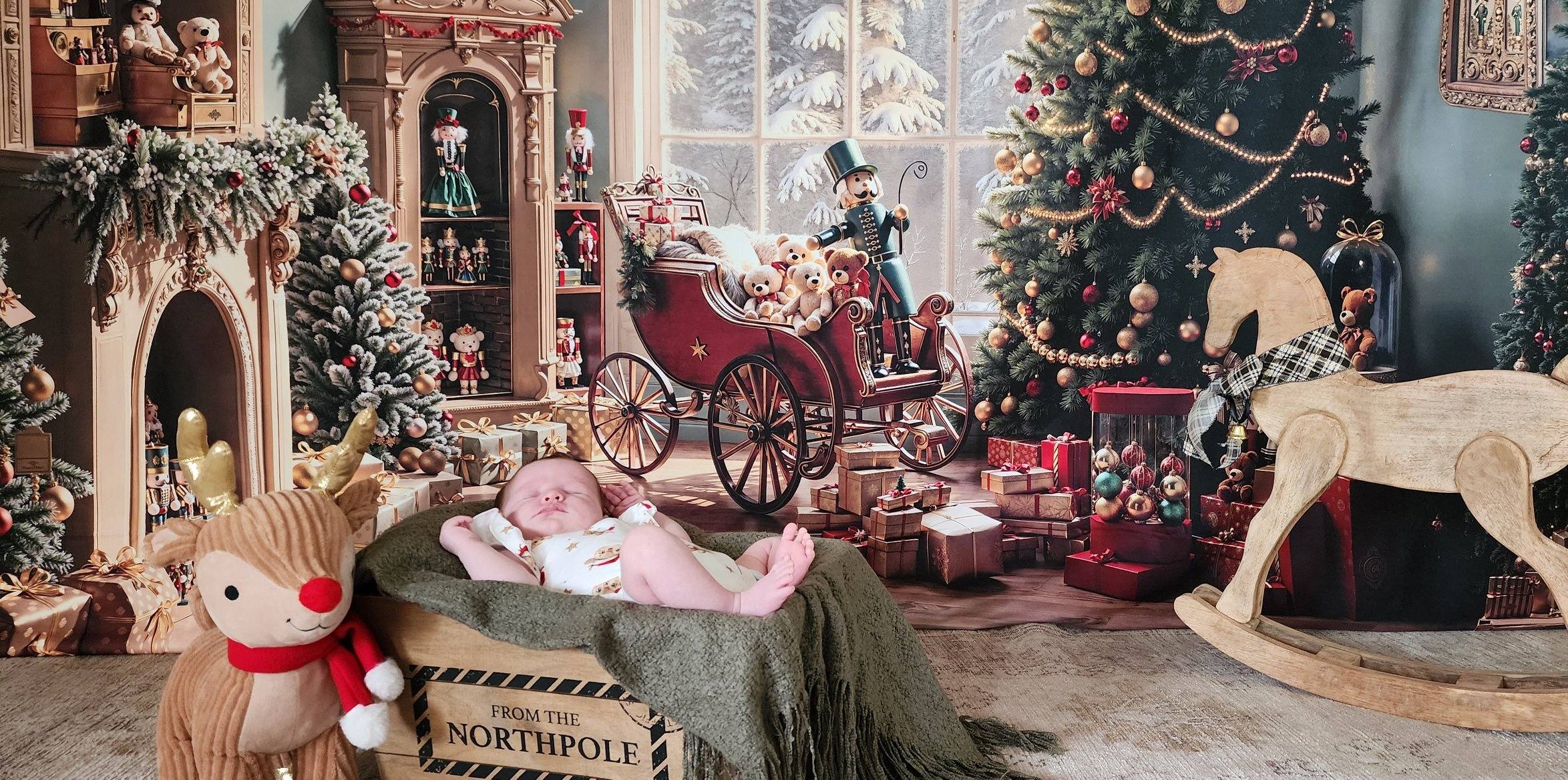 Kate Noël Rétro Cheminée Jouets Salon Toile de fond conçue par Emetselch - Kate Backdrop FR