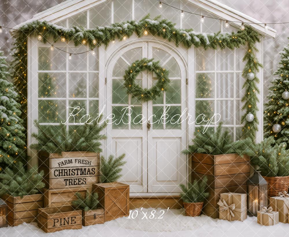 Kate Noël Serre Sapins Guirlande Toile de fond conçue par Patty Roberts