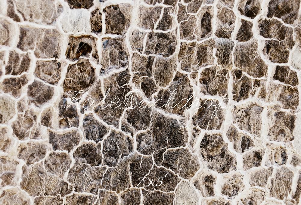 Kate Texture Pierre Gris Sol Mur Toile de fond en Vinyle