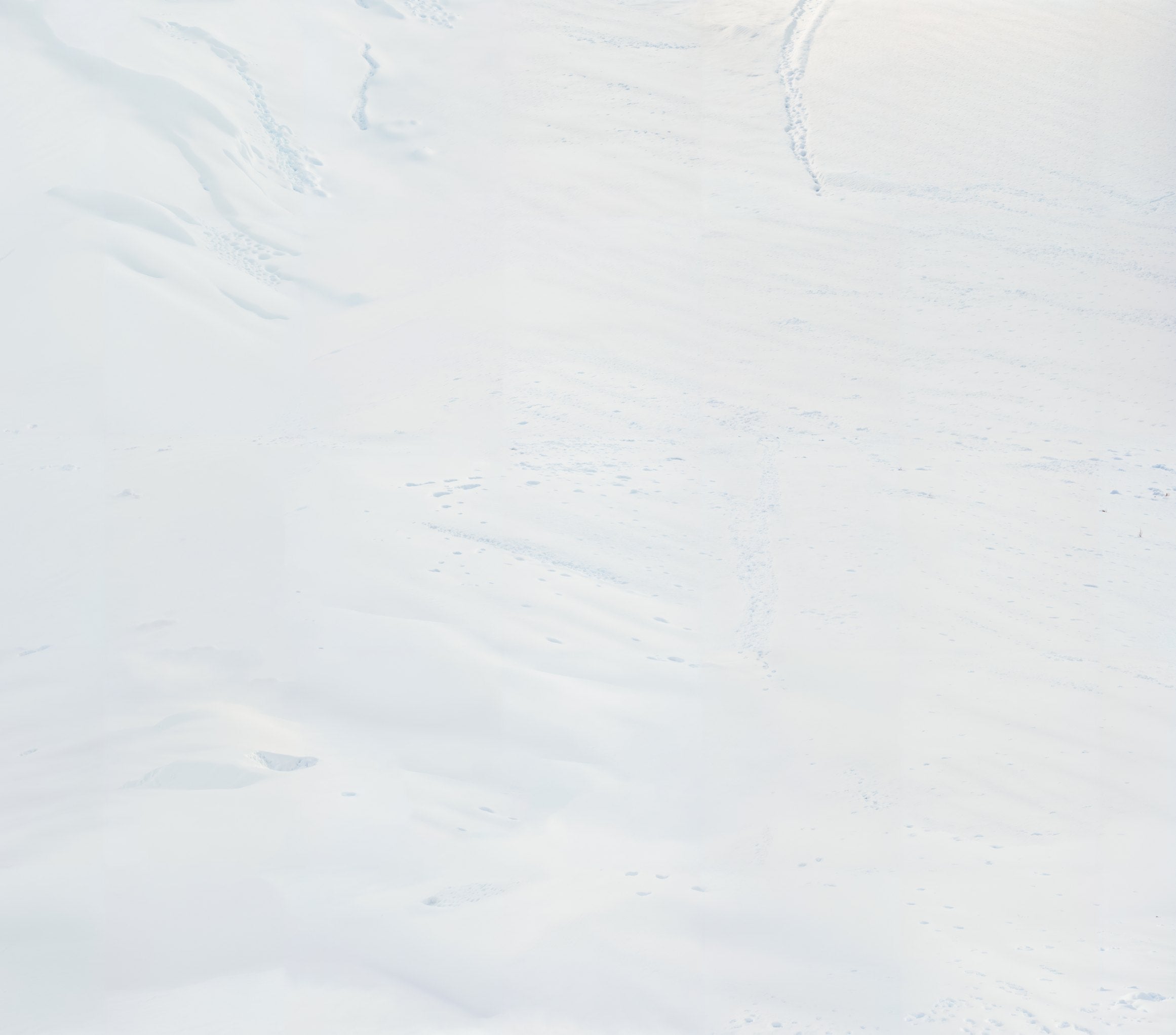 Kate Hiver Neige Blanc Sol Fond en Vinyle - Kate Backdrop FR