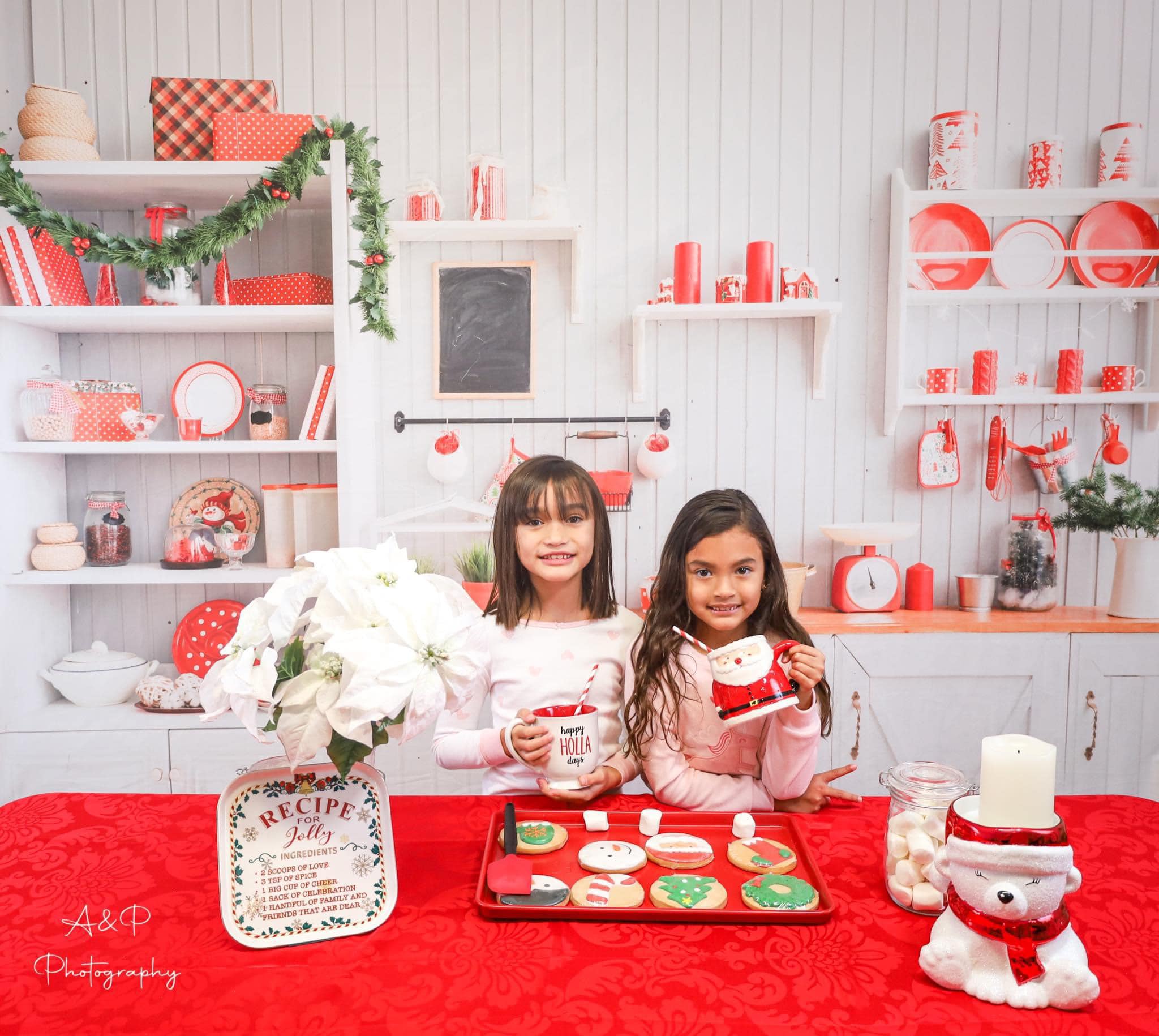 Kate Mur blanc Cuisine Noël Toile de fond en Laine pour la photographie - Kate Backdrop FR