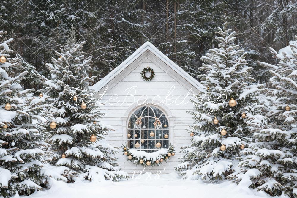 Kate Noël Neige Cabane Forêt Toile de fond conçue par Emetselch - Kate Backdrop FR