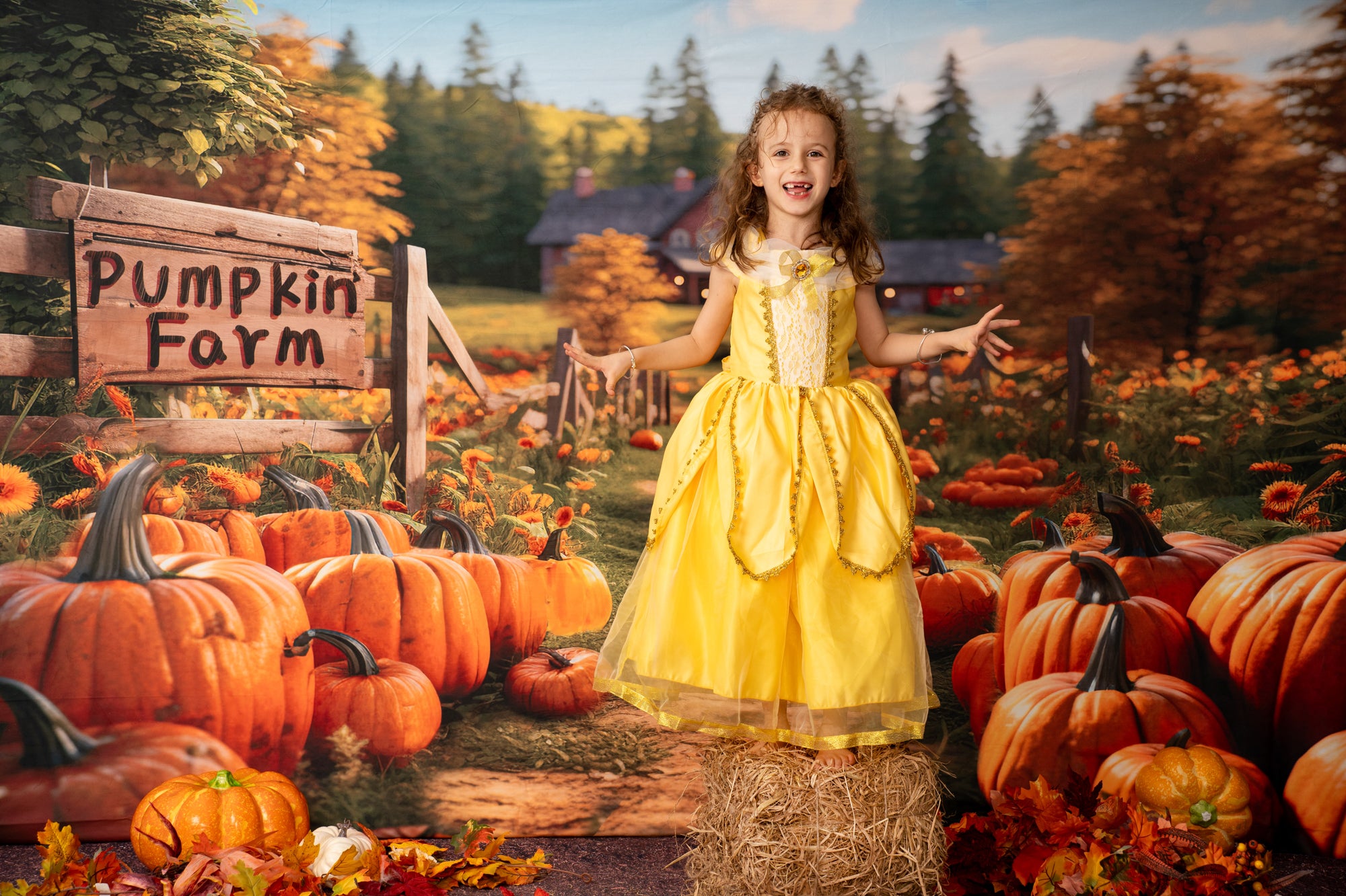 Kate Automne Ferme de citrouilles Toile de fond conçu par Emetselch