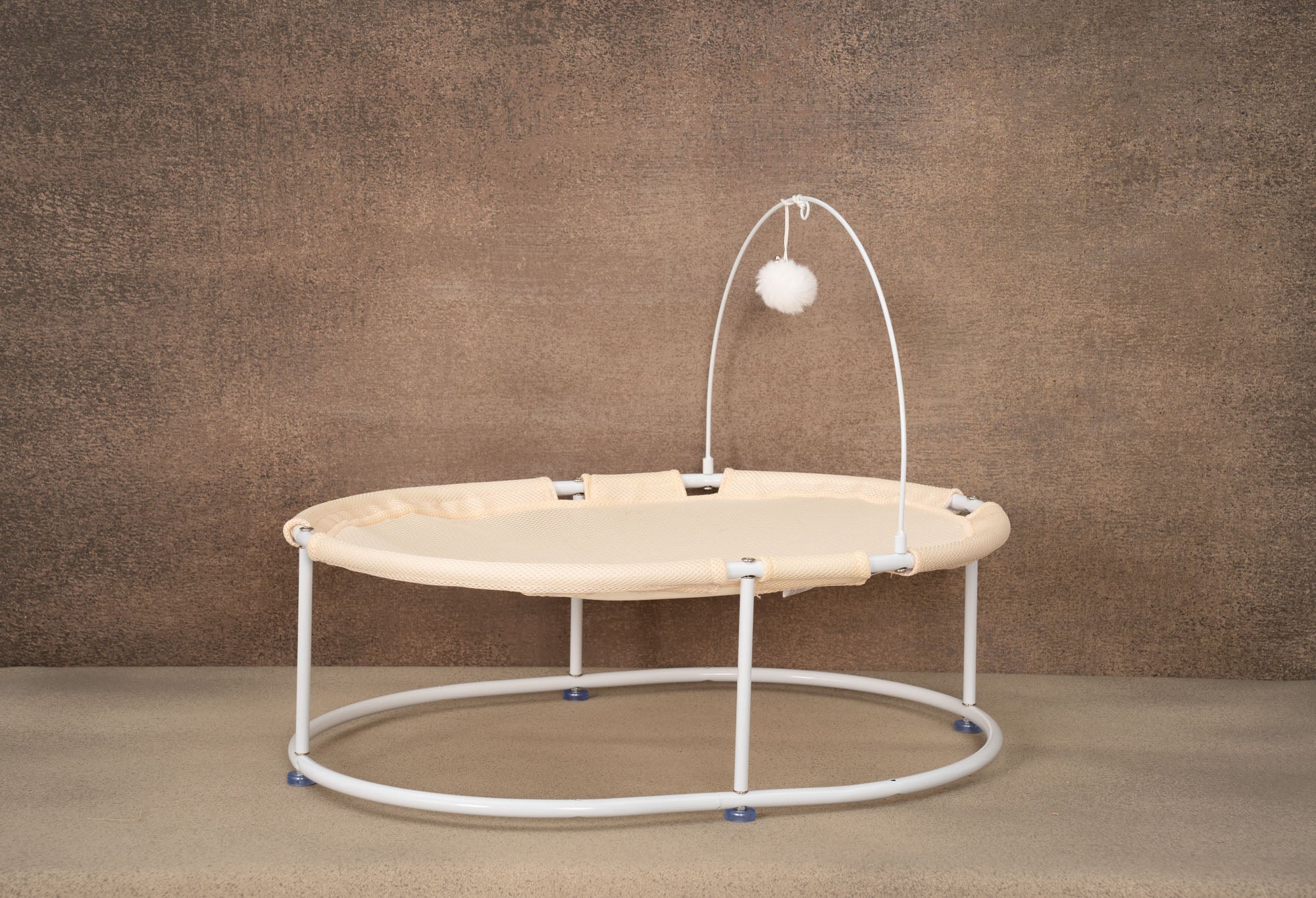 Kate Lit métallique Animaux de compagnie Accessoires de photographie - Kate Backdrop FR