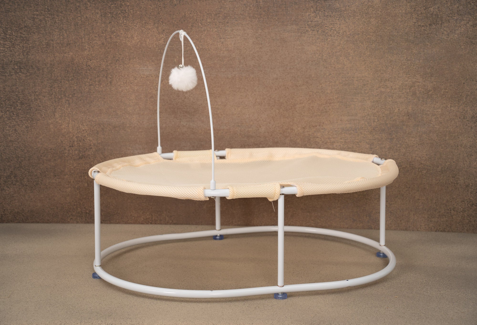 Kate Lit métallique Animaux de compagnie Accessoires de photographie - Kate Backdrop FR