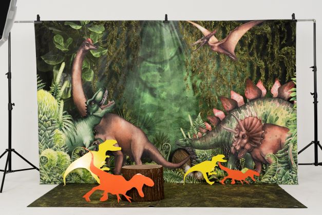 Kate Été Jungle Aventure Dinosaures Toile de fond conçue par Mandy Ringe - Kate Backdrop FR