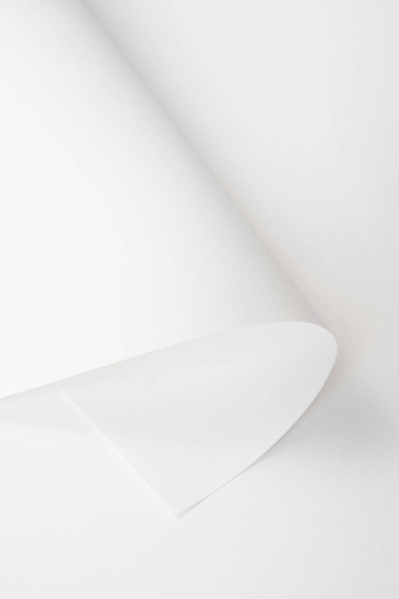 Kate Blanc Fond de Papier Sans Couture pour la photographie - Kate Backdrop FR
