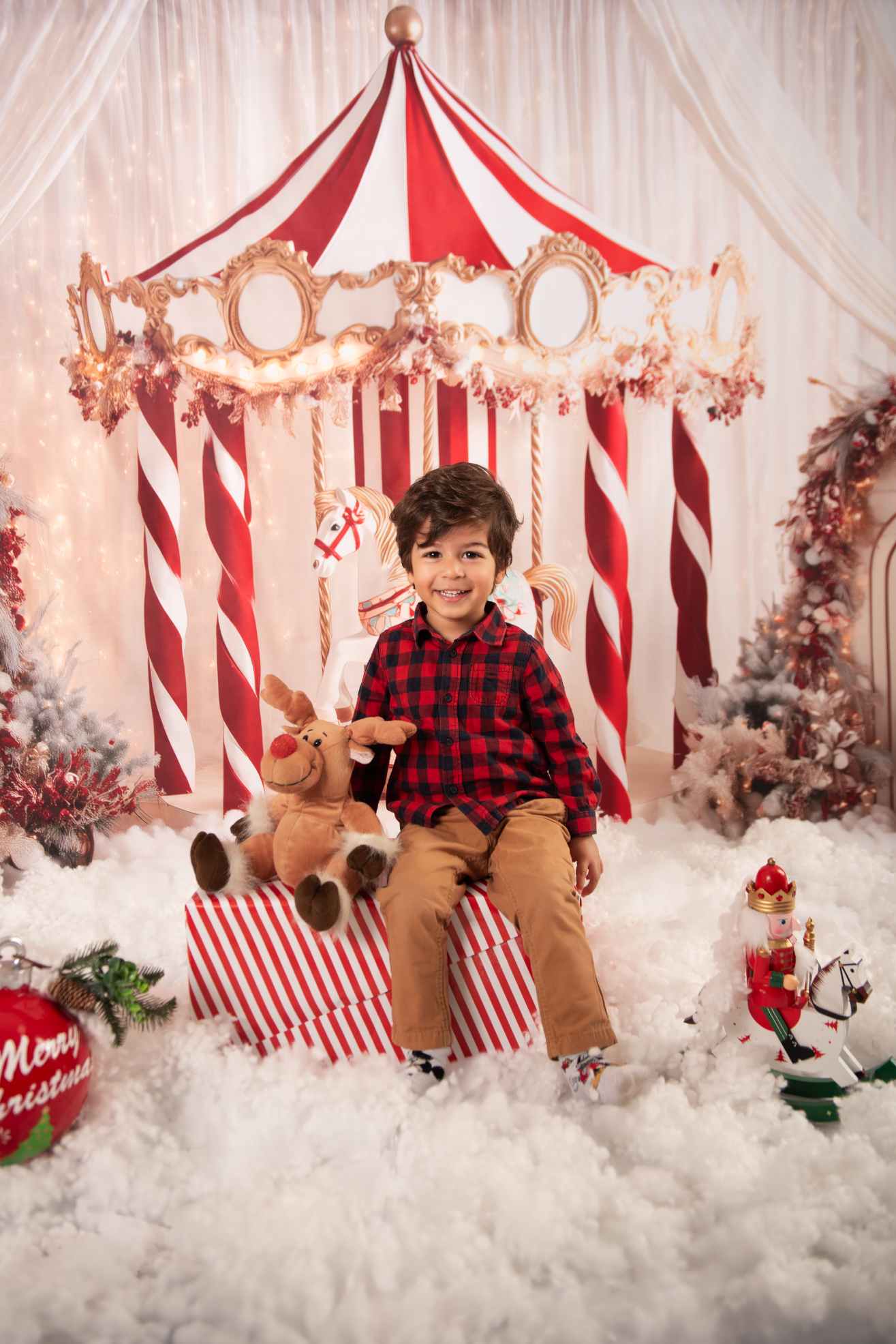 Kate Noël Cirque Carrousel Rideaux Toile de fond conçue par Patty Roberts - Kate Backdrop FR