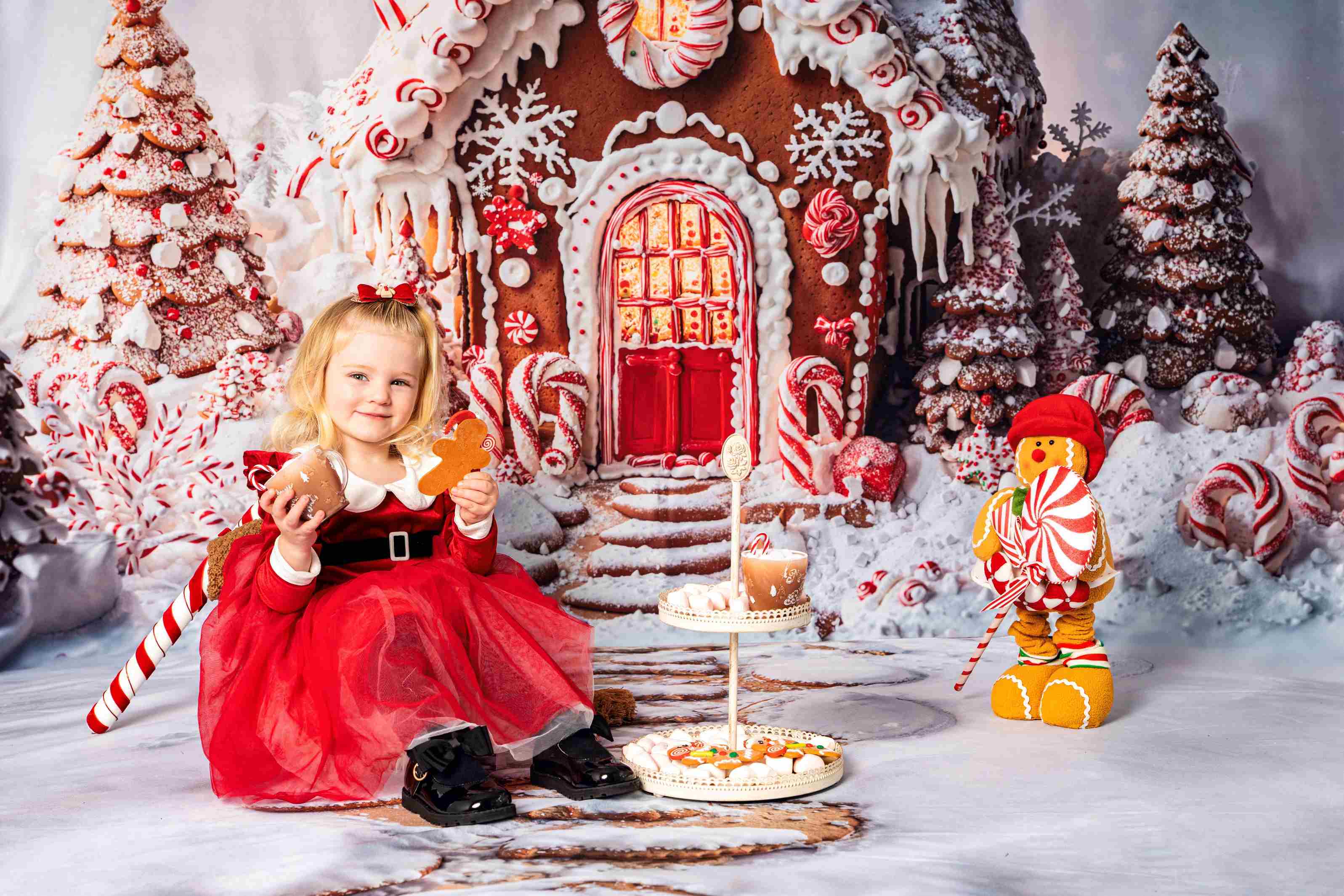 Kate Maison en Pain d'épices Noël Toile de fond+Neige Chemin de Pierre Sol Toile de fond - Kate Backdrop FR