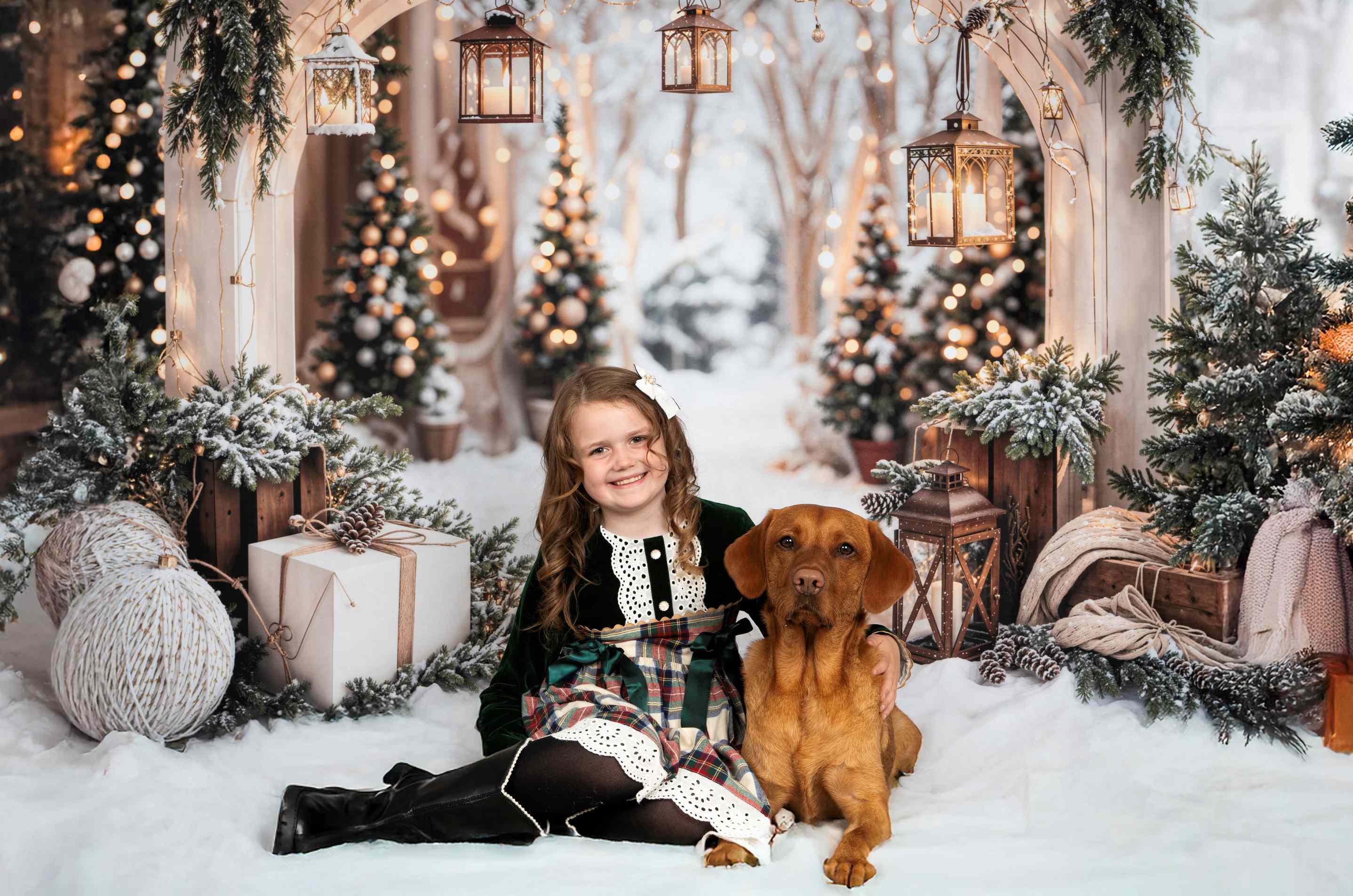 Kate Noël Arche Neige Arbres Lumière Toile de fond conçue par Emetselch - Kate Backdrop FR