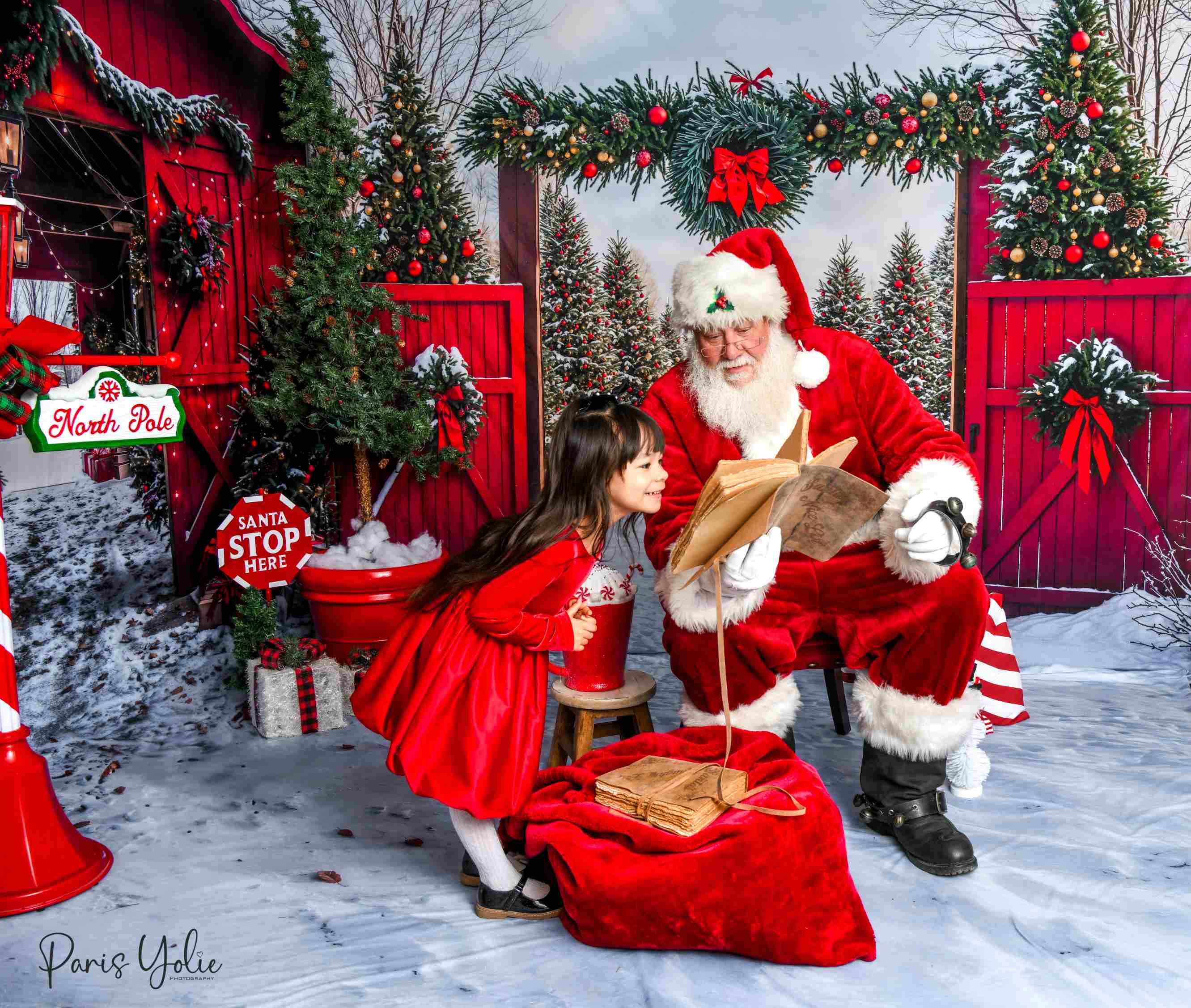 Offres Éclair #4 Kate Noël Grange Rouge Neige Allée Forêt Porte Ensemble de chambre - Kate Backdrop FR