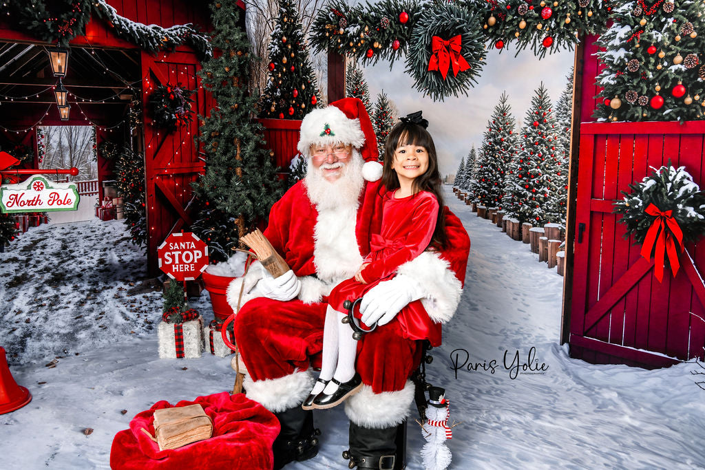 Offres Éclair #4 Kate Noël Grange Rouge Neige Allée Forêt Porte Ensemble de chambre - Kate Backdrop FR