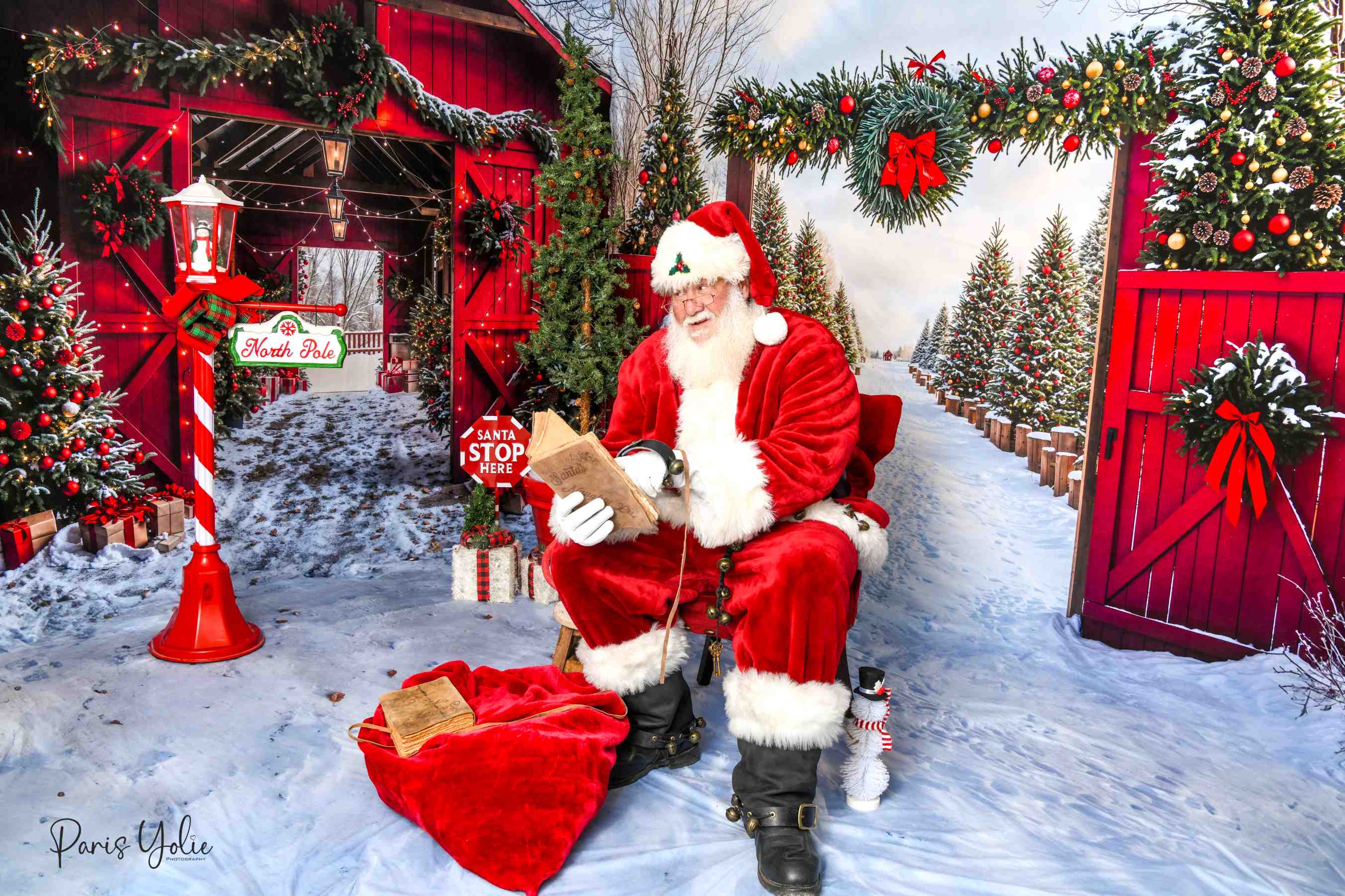 Offres Éclair #4 Kate Noël Grange Rouge Neige Allée Forêt Porte Ensemble de chambre - Kate Backdrop FR