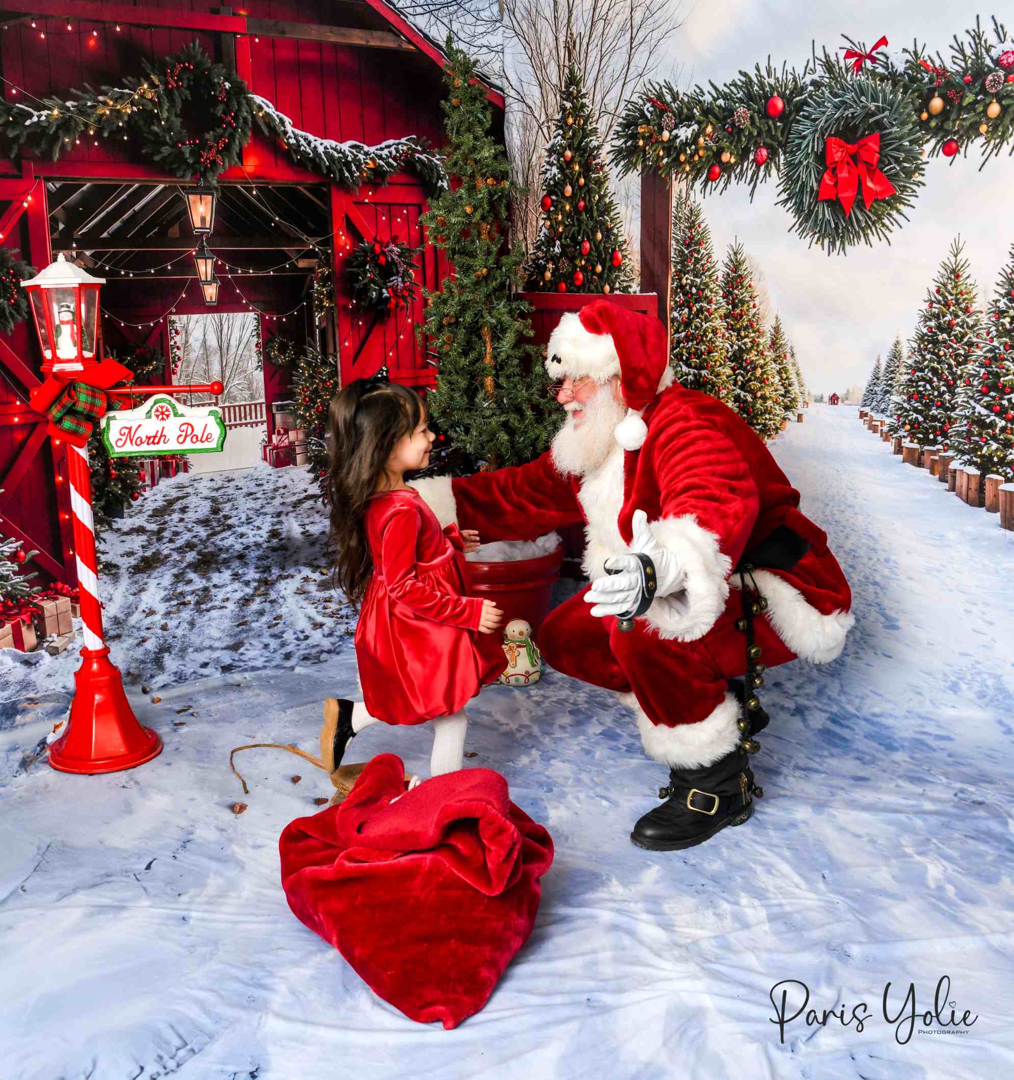 Offres Éclair #4 Kate Noël Grange Rouge Neige Allée Forêt Porte Ensemble de chambre - Kate Backdrop FR