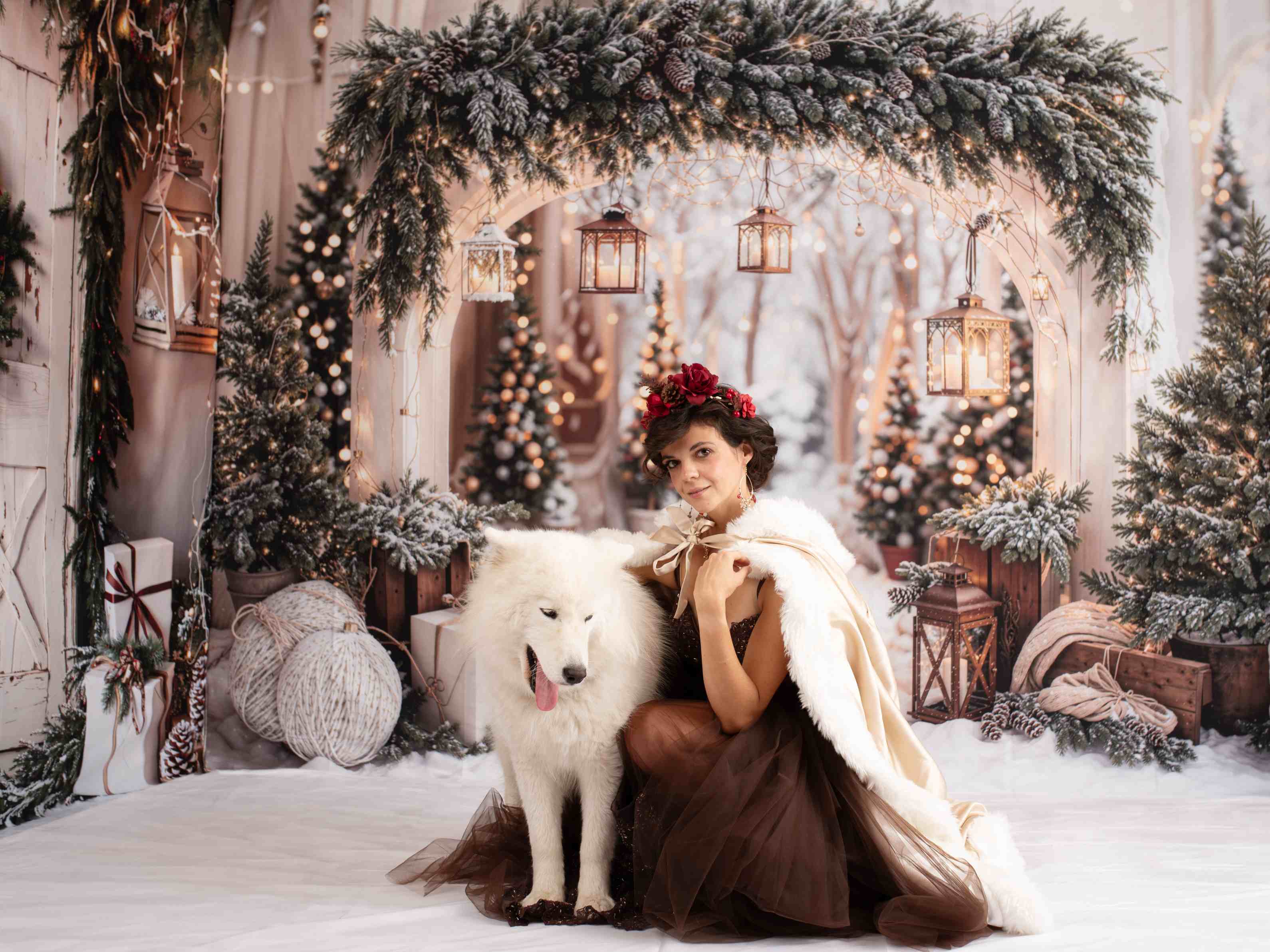 Kate Noël Arche Neige Arbres Porte Lumières Ensemble de chambre - Kate Backdrop FR