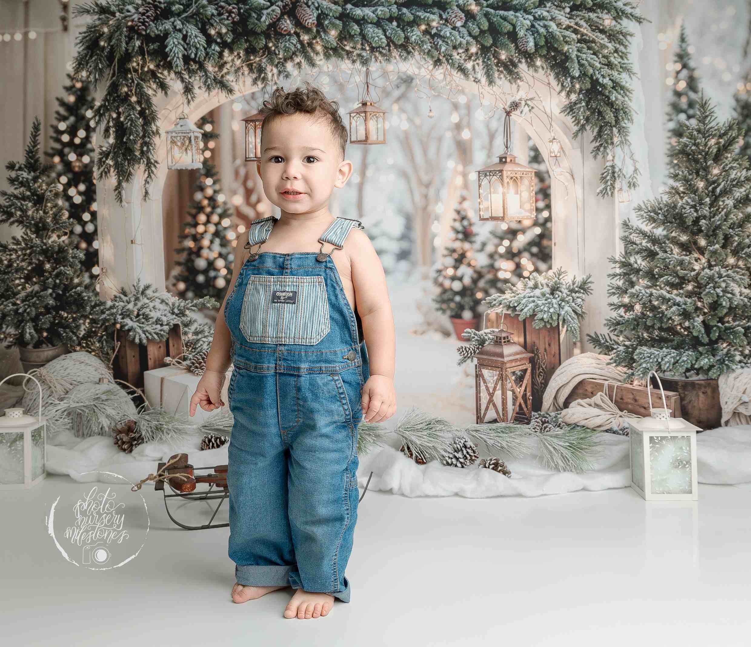 Kate Noël Arche Neige Arbres Lumière Toile de fond conçue par Emetselch - Kate Backdrop FR