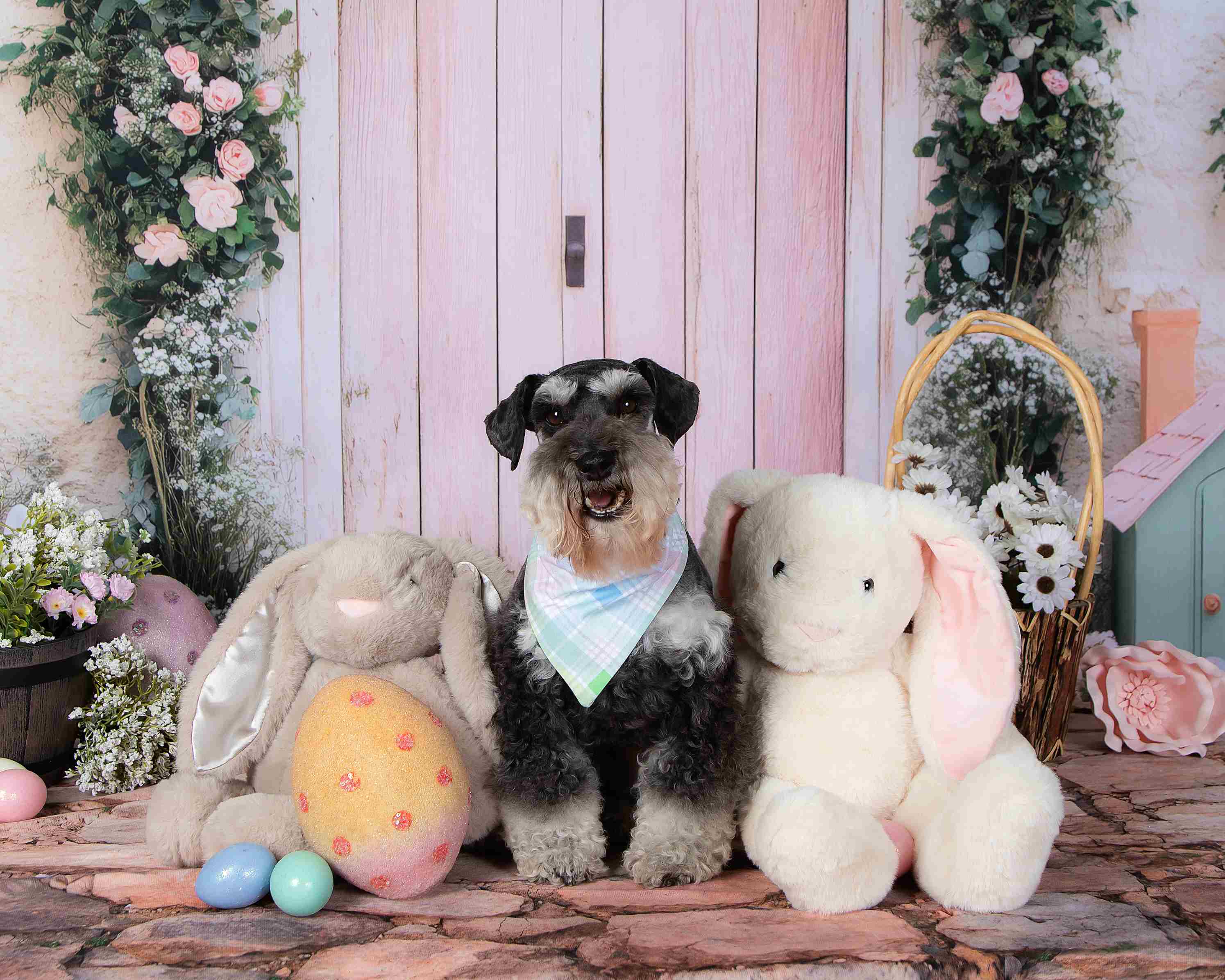 Kate Pâques Lapin Porte Rose Maison Toile de fond conçue par Patty Roberts - Kate Backdrop FR