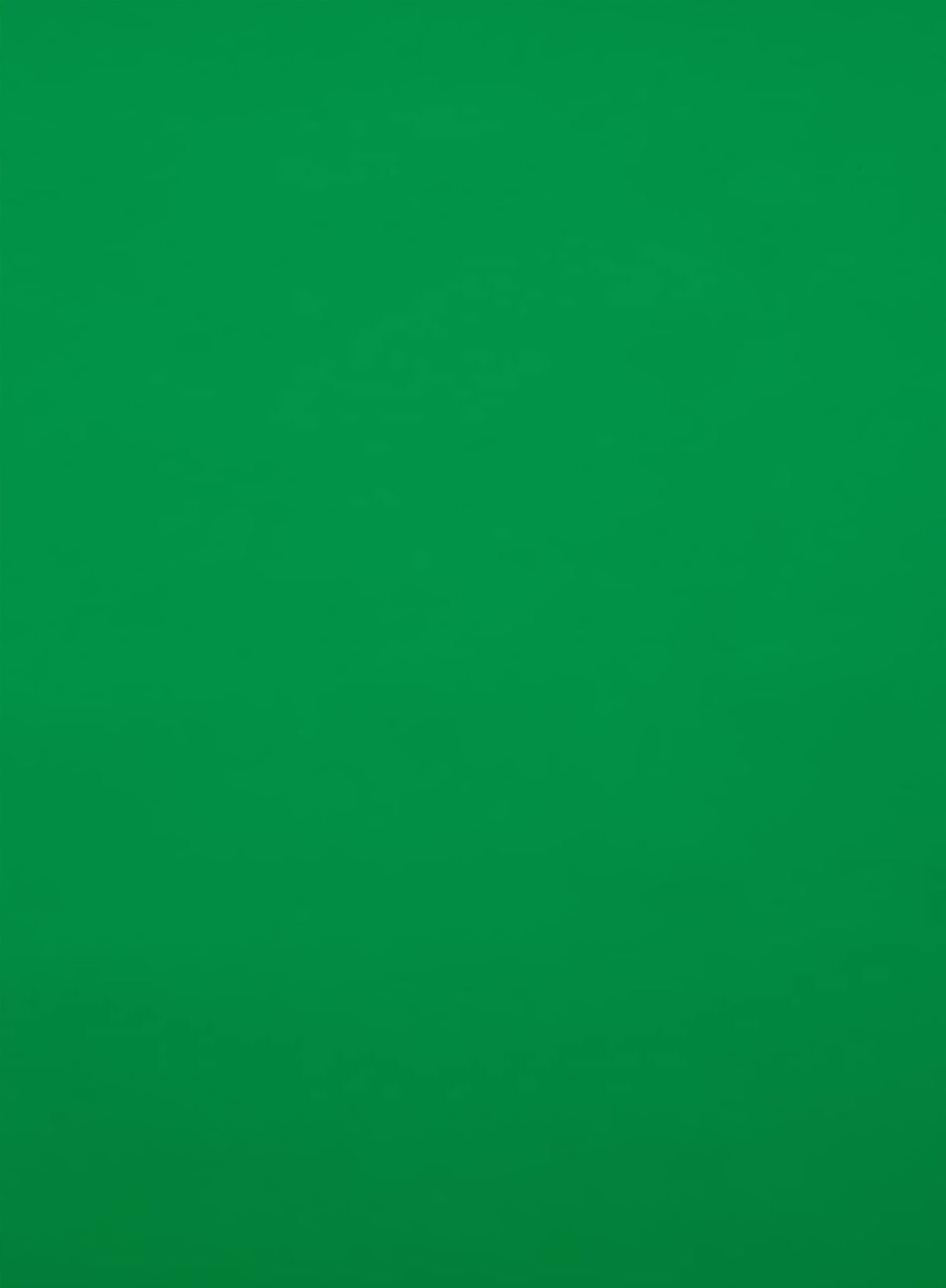 Kate Vert de whisky Fond de Papier Sans Couture pour la photographie - Kate Backdrop FR
