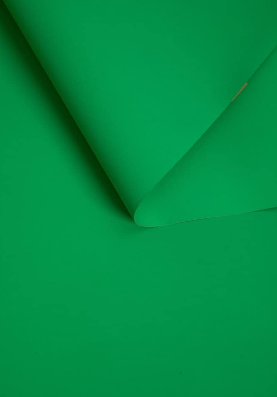 Kate Vert de whisky Fond de Papier Sans Couture pour la photographie - Kate Backdrop FR