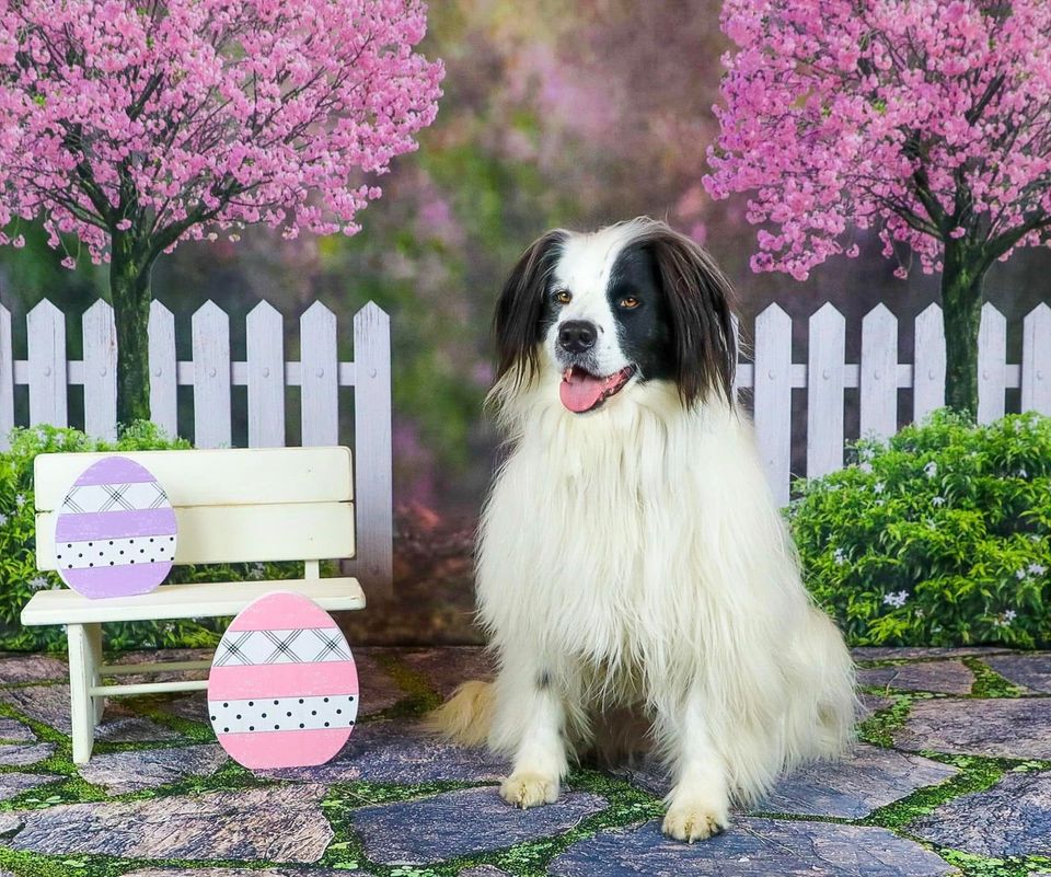 Kate Tapis de sol en caoutchouc Mur Pierre Route Mousse Imprimé par ordinateur - Kate Backdrop FR