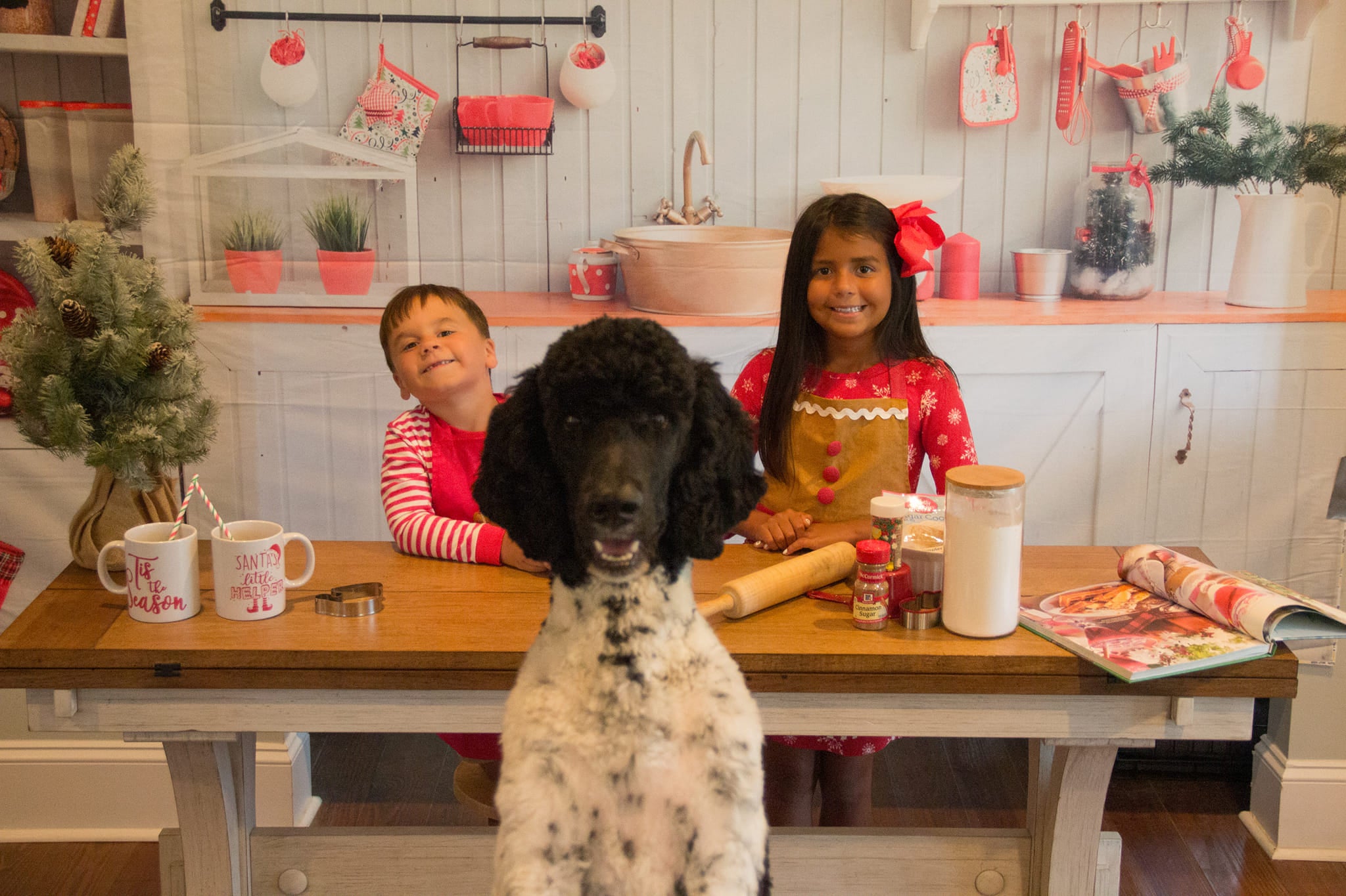 Kate Mur blanc Cuisine Noël Toile de fond pour la photographie - Kate Backdrop FR