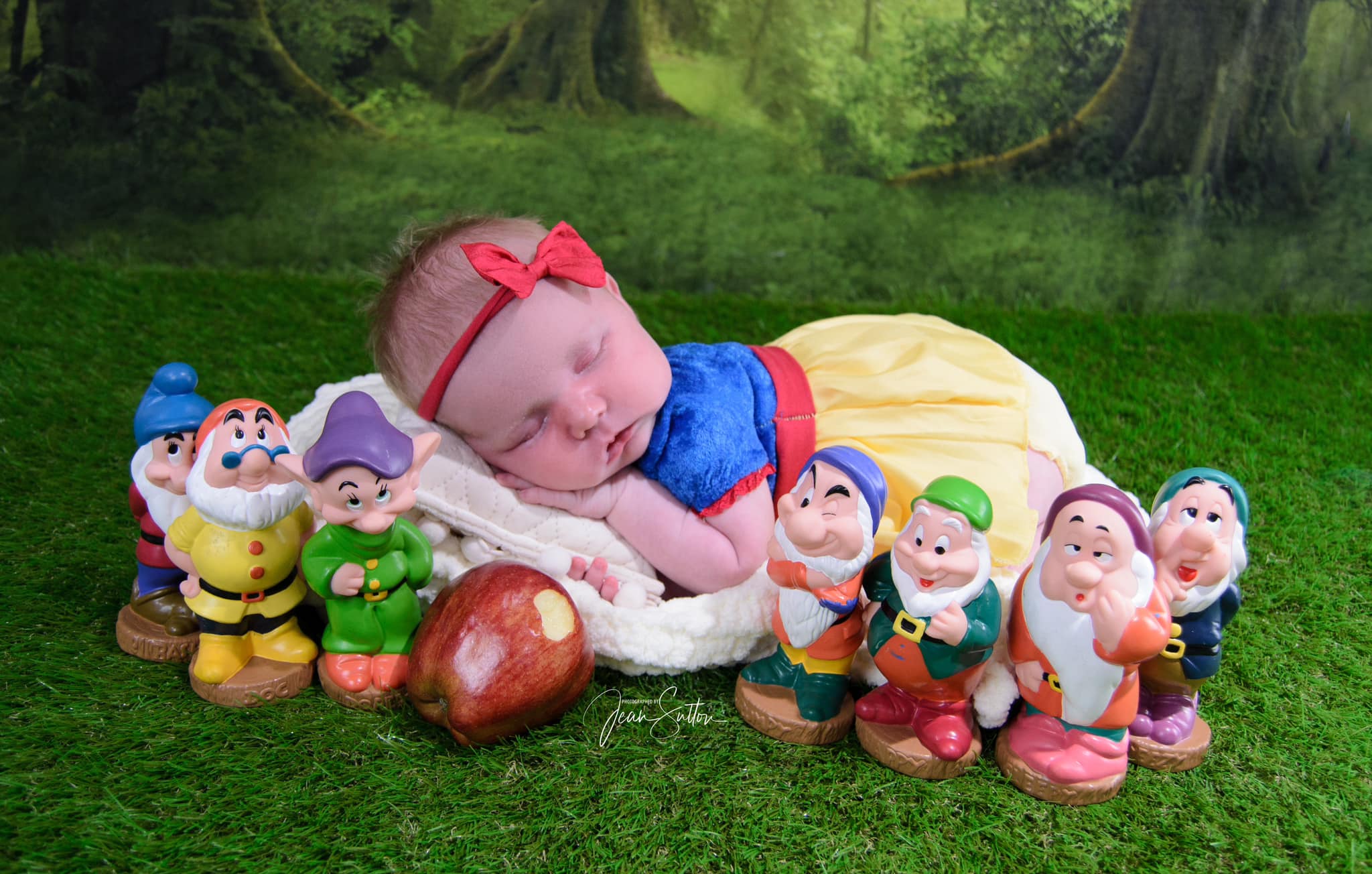 Kate Forêt verte Toile de fond+Prairie verte Tapis de sol en caoutchouc - Kate Backdrop FR