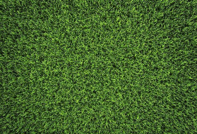 Kate Vert Herbe Sol Photos Extérieur Toile de fond pour la photographie - Kate Backdrop FR
