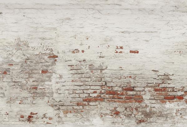 Kate Brique vieillie Combinaison Toiles de fond pour la photographie