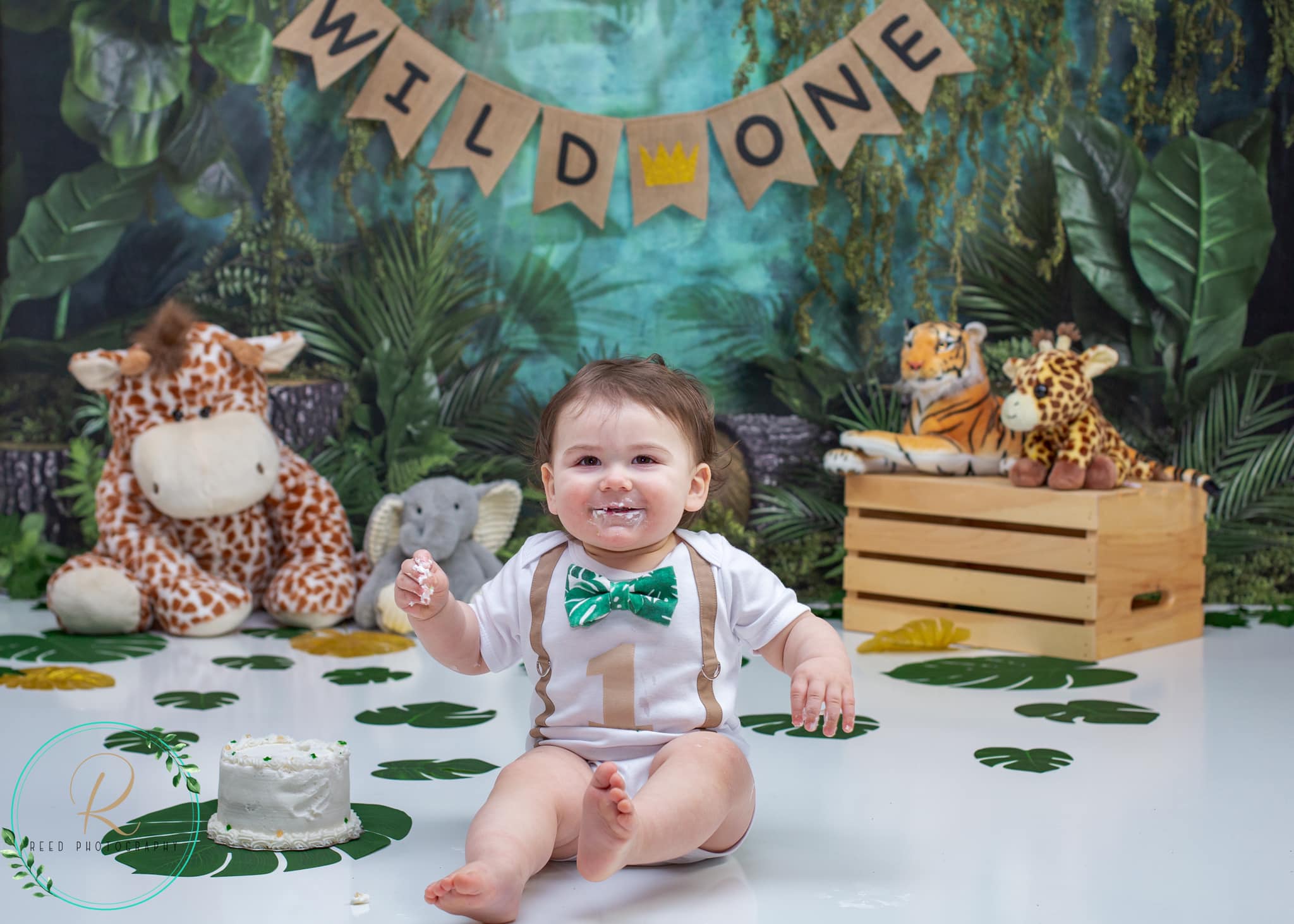 Kate Jungle Été Plante Vert Toile de fond conçue par Mandy Ringe - Kate Backdrop FR