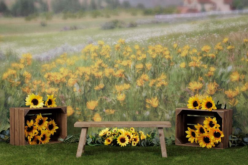 Kate Été Prairie Montagne Tournesol Toile de fond conçue par Lisa Granden - Kate Backdrop FR
