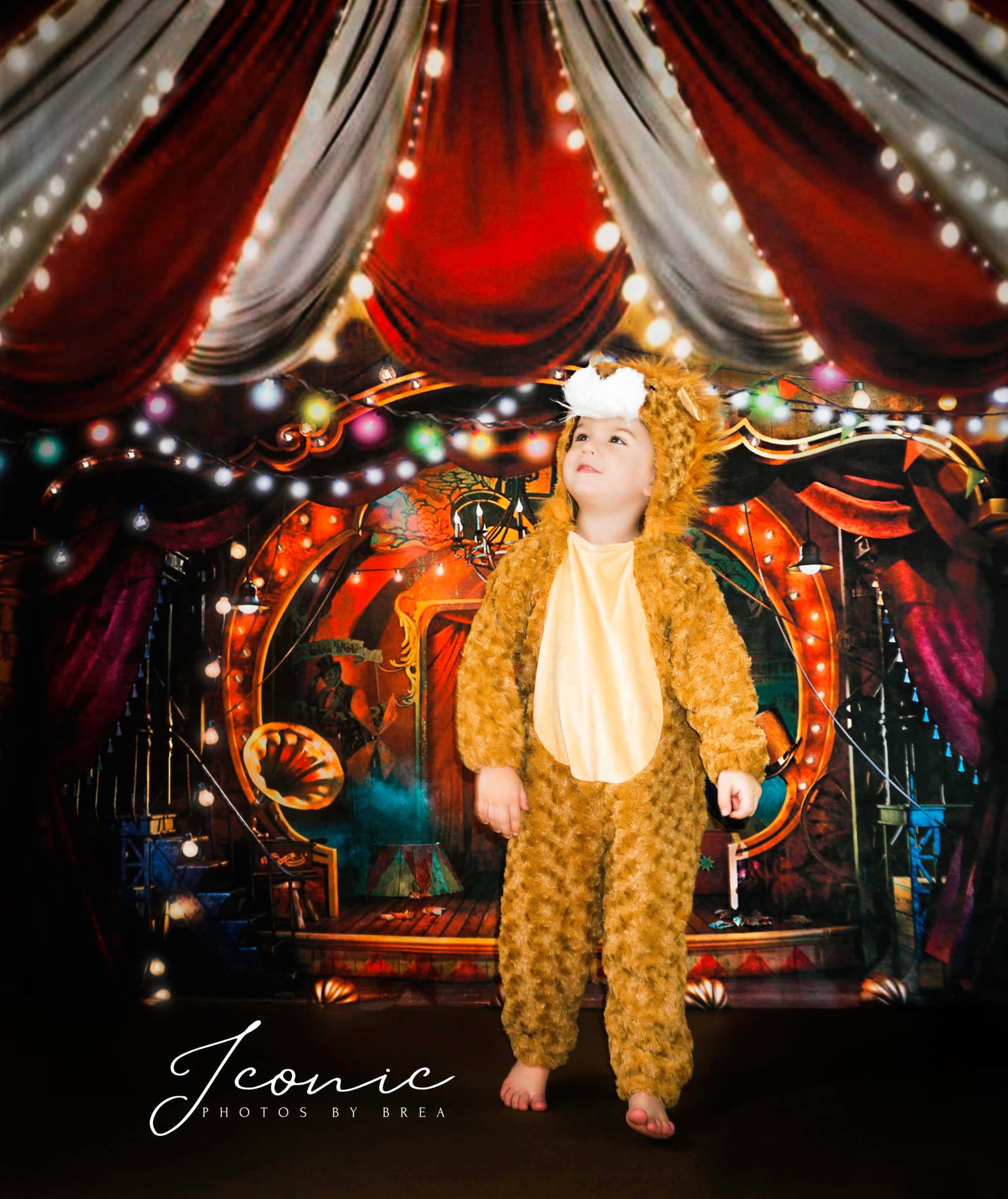 Kate Cirque Rouge Lumières colorées Toile de fond conçue par Rosabell Photographie - Kate Backdrop FR