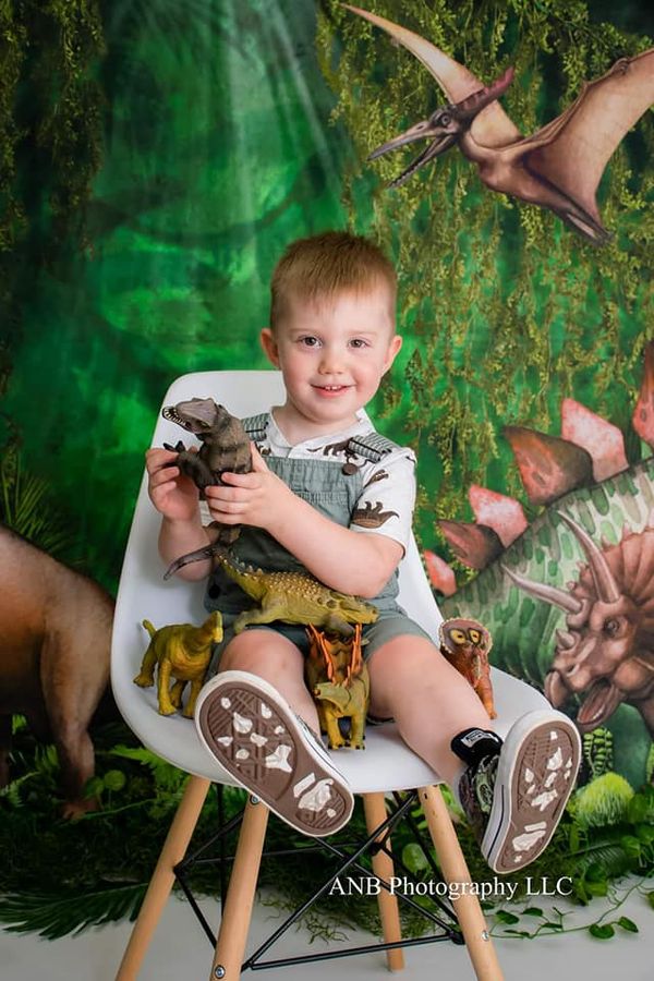 Kate Été Jungle Aventure Dinosaures Toile de fond conçue par Mandy Ringe - Kate Backdrop FR