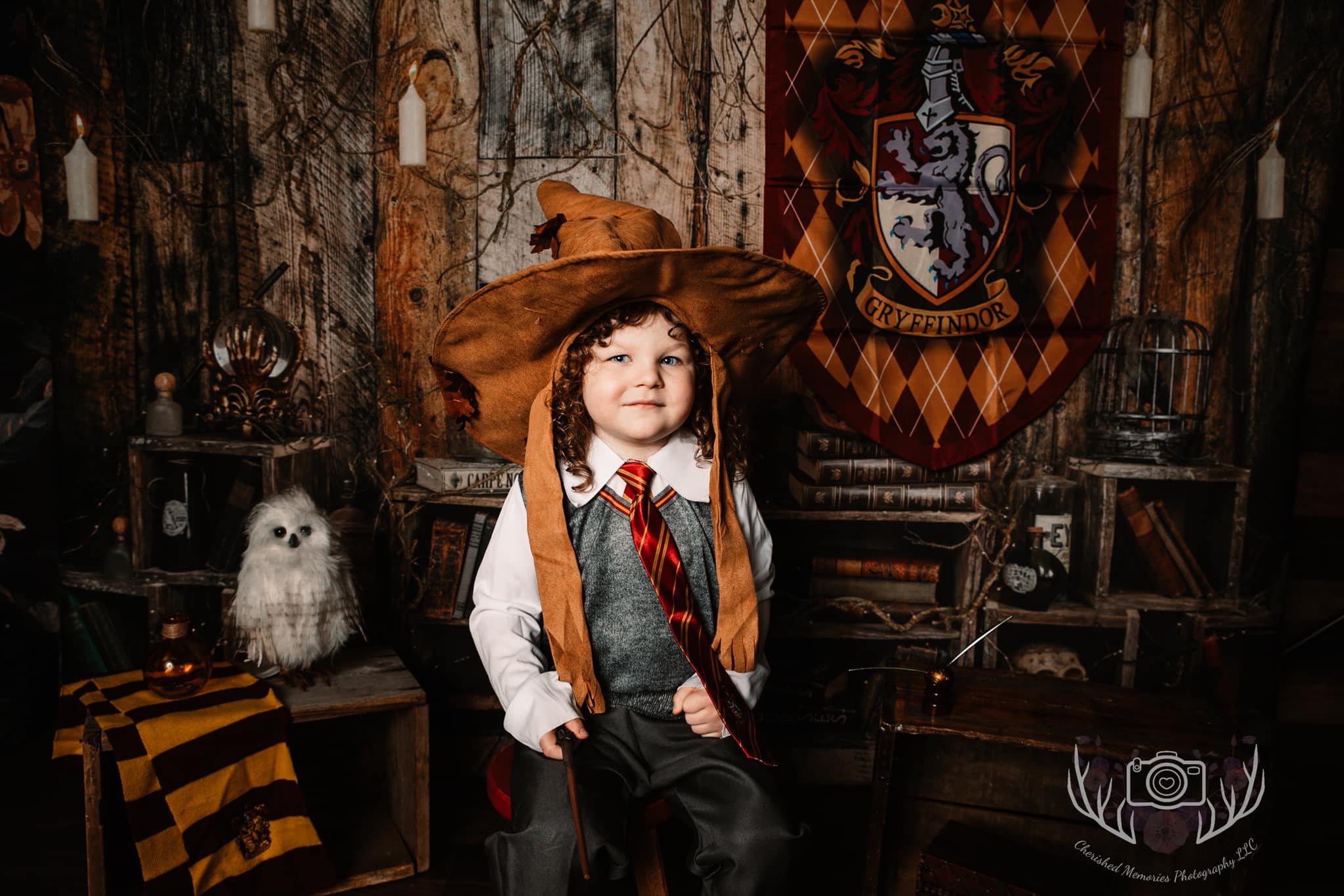 Kate Conte de fées Magique Sorcier Toile de fond conçue par Arica Kirby - Kate Backdrop FR