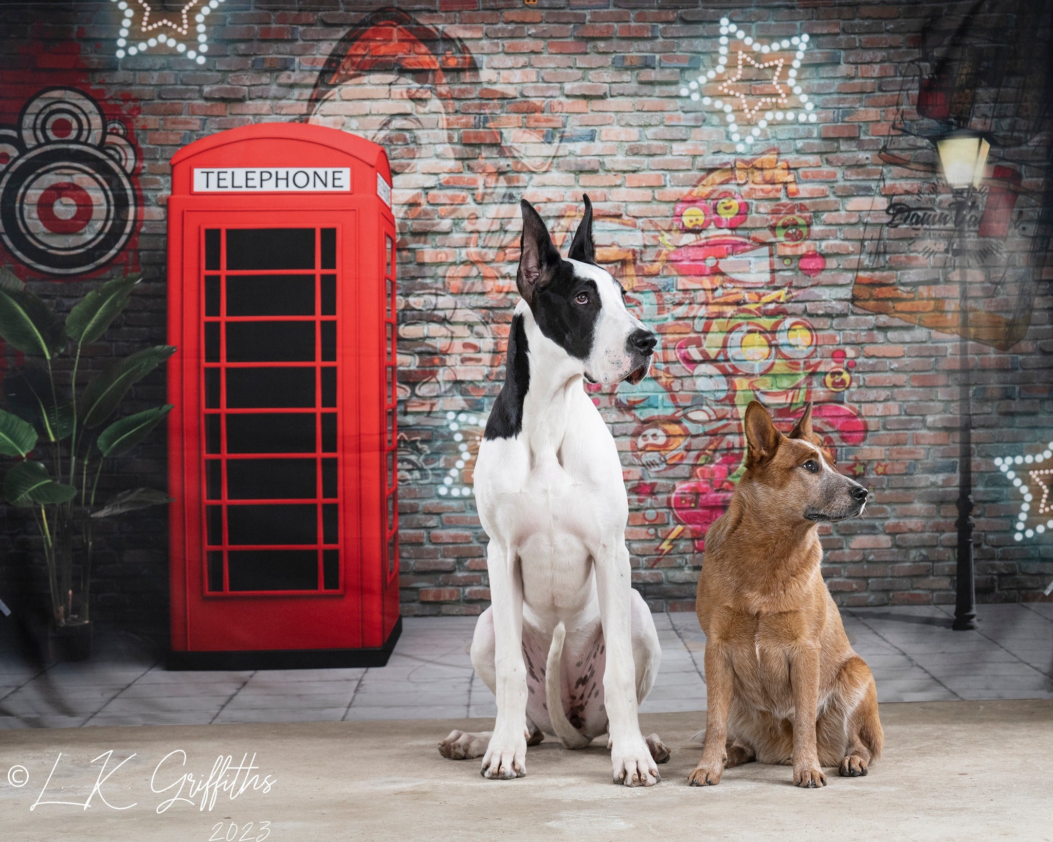 Kate Mur de graffiti Cabine téléphonique Rétro Toile de fond pour la photographie - Kate Backdrop FR